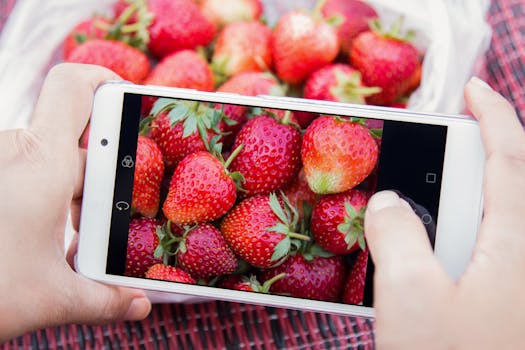 A vibrant image of freshly picked strawberries being photographed on a smartphone outdoors.