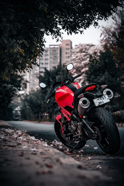 Free A vibrant red superbike parked under trees in an urban area of Bengaluru, India, exuding a sense of adventure. Stock Photo