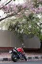 Red Ducati Motorcycle Under Blooming Trees in Bengaluru