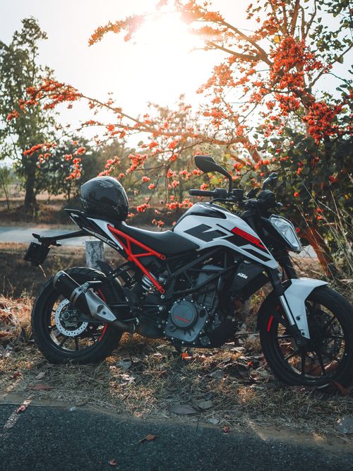 Free A sleek sport motorcycle parked by a sunlit scene with red blossoms on trees. Stock Photo