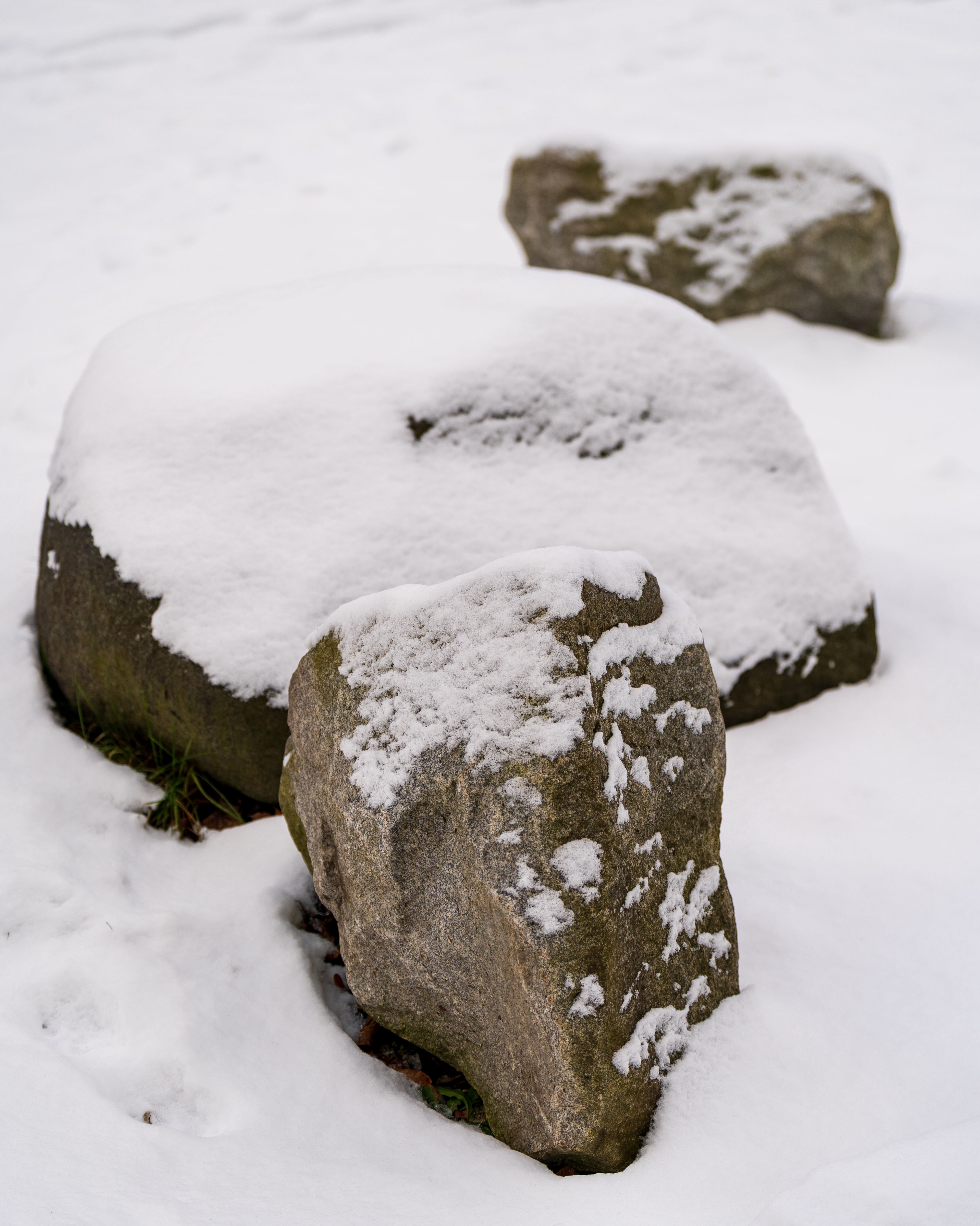Snow-Covered Rocks in a Tranquil Winter Setting · Free Stock Photo