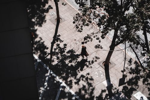 Free An overhead shot of a person walking on a leafy street in Santiago, Chile. Stock Photo