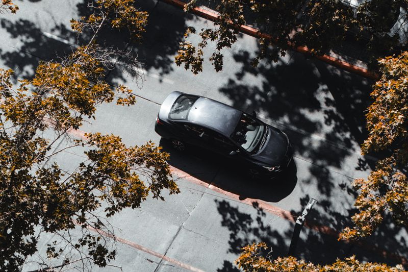 Captured from above, a car navigates a tree-lined street in Santiago, Chile, during fall.