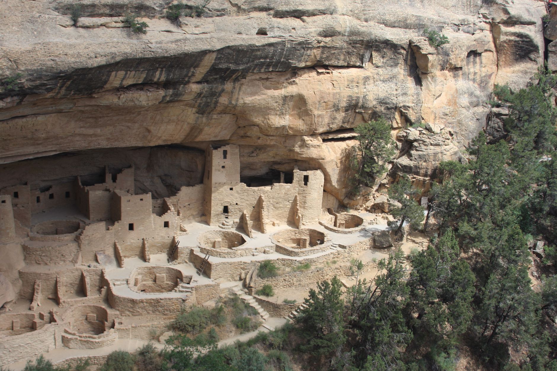 Explore the stunning Cliff Palace ruins in Mesa Verde National Park, Colorado.