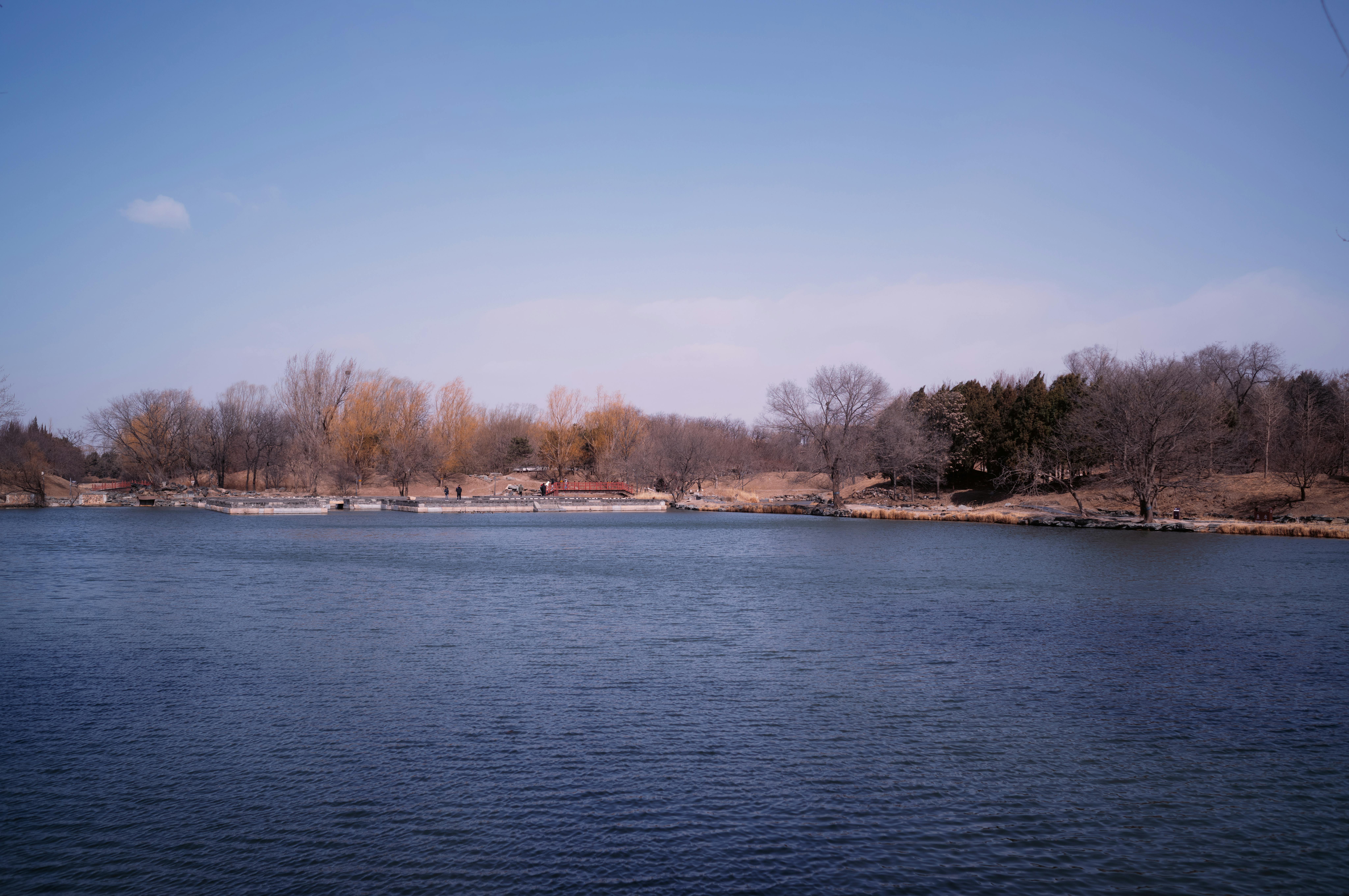 Zadarmo Pokojná krajina pri jazere s holými stromami pod jasnou modrou oblohou, zachytávajúca podstatu skorej jari. Fotka z fotobanky