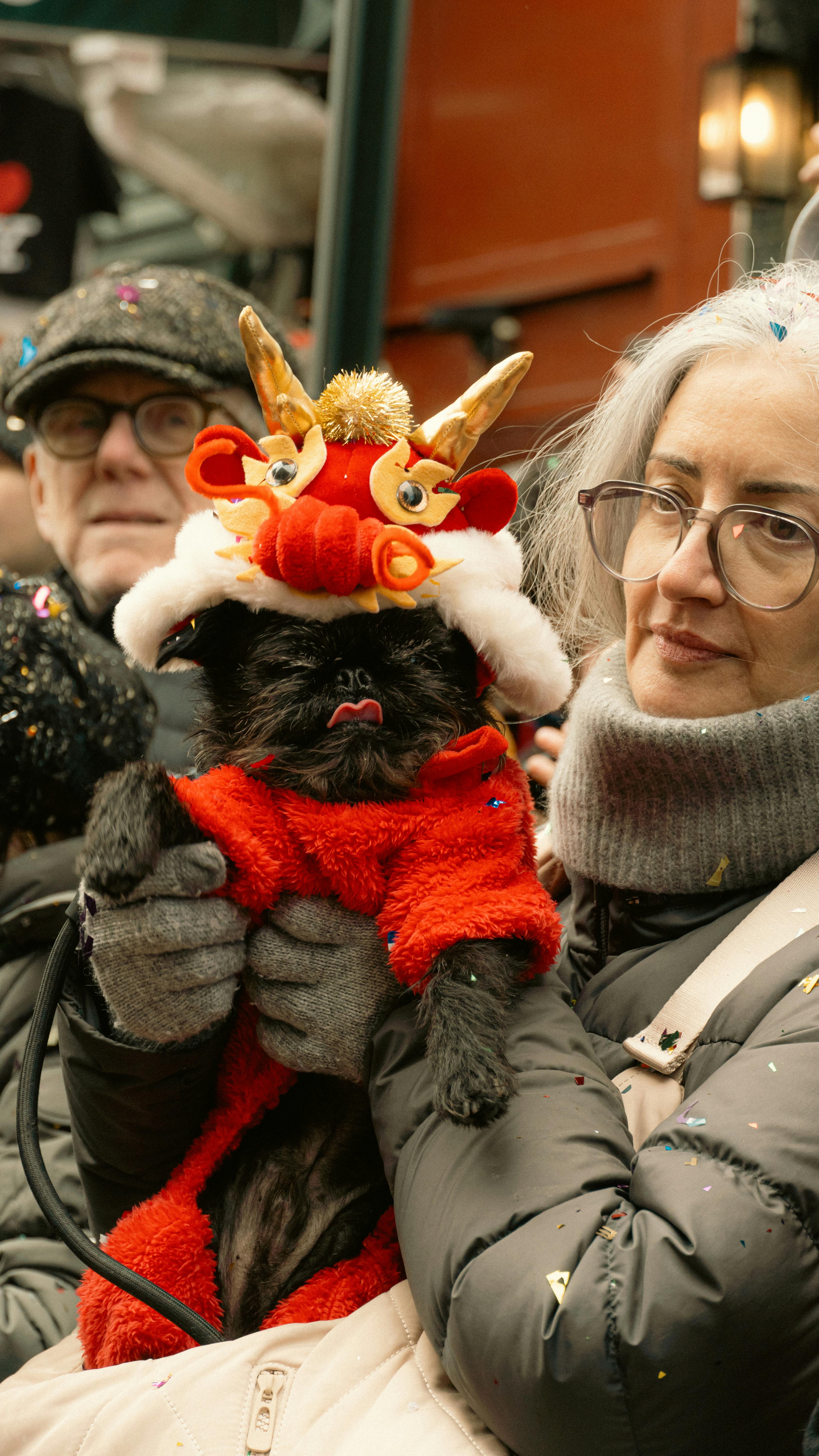 gratis Schattige hond in traditioneel nieuwjaarskostuum tijdens parade in New York. Stockfoto