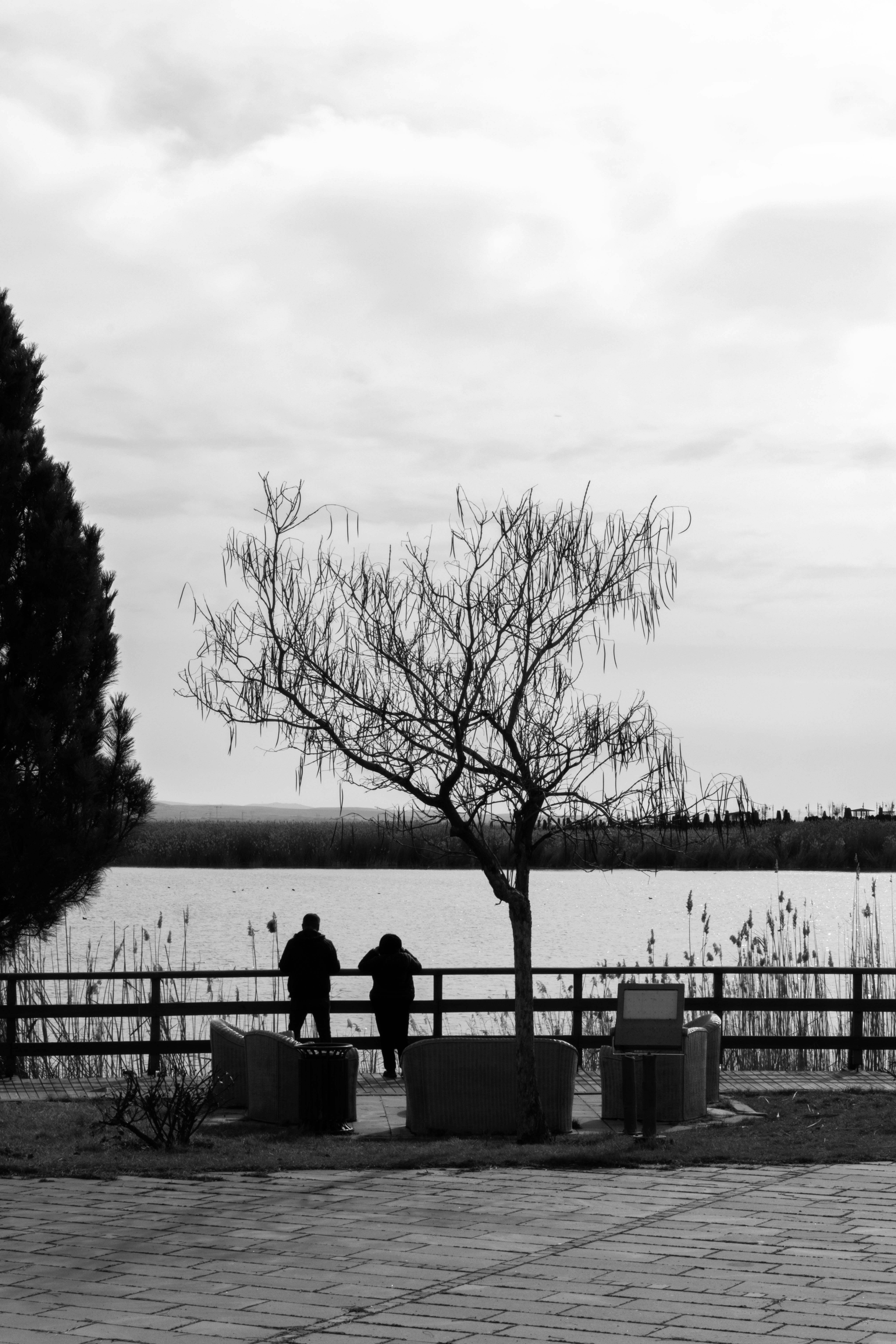 Miễn phí Ảnh lưu trữ miễn phí về ao, ban ngày, Băng ghế Ảnh lưu trữ