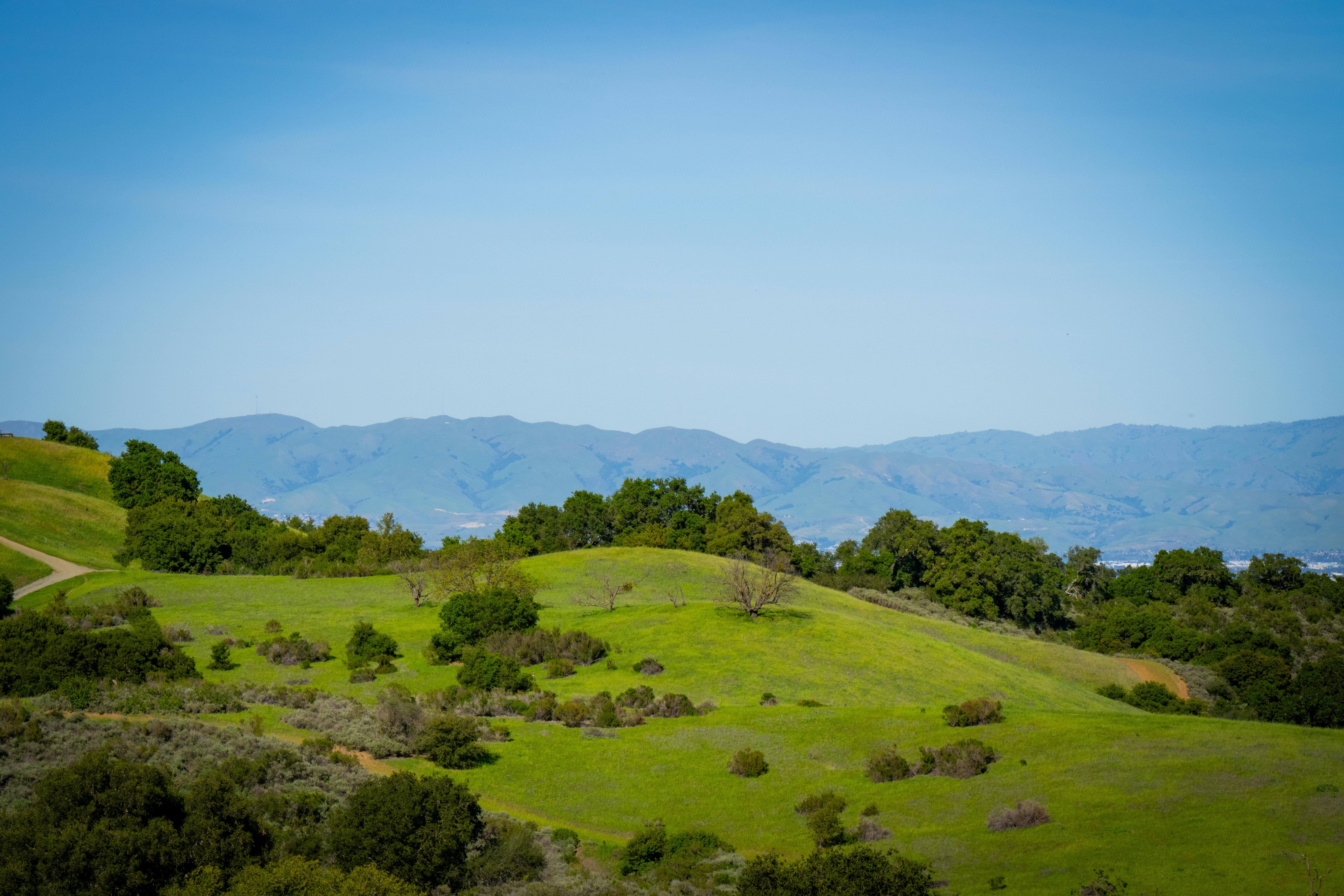 A beautiful view of green rolling hills in Saratoga, California, under a clear blue sky.