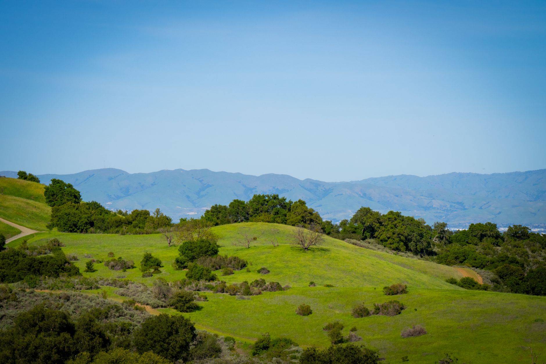 A beautiful view of green rolling hills in Saratoga, California, under a clear blue sky.