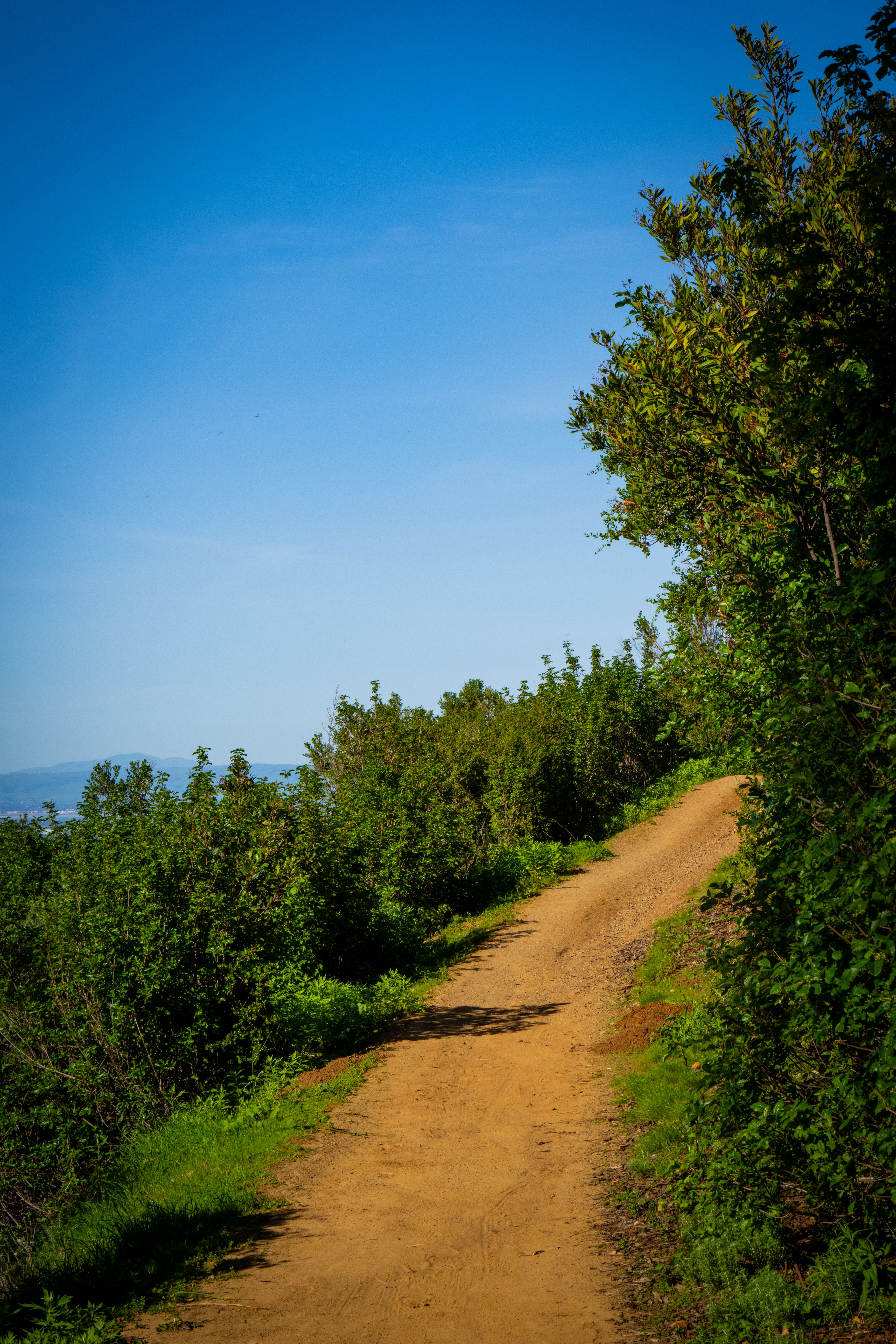 Scenic Hiking Trail in Saratoga, California · Free Stock Photo