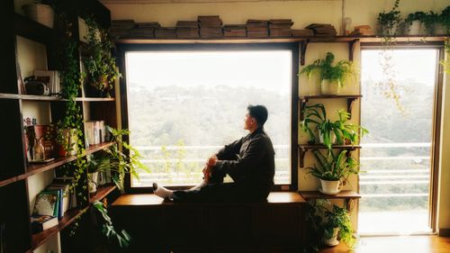 Free A man sits by a large window, surrounded by lush indoor plants, gazing outside. Stock Photo