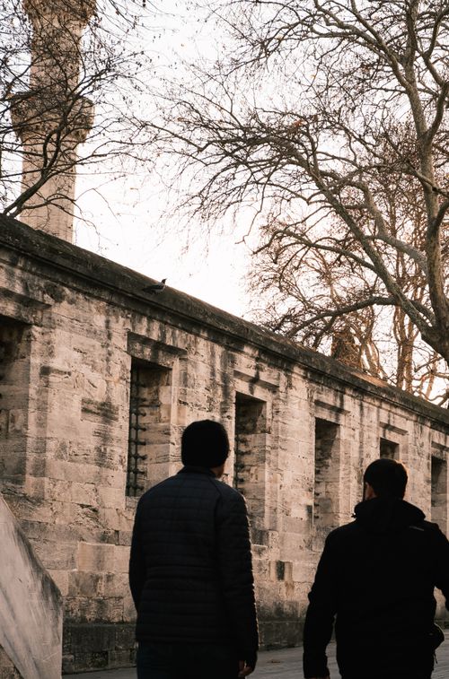 Free Silhouettes walking along a historic stone wall with bare trees. Stock Photo
