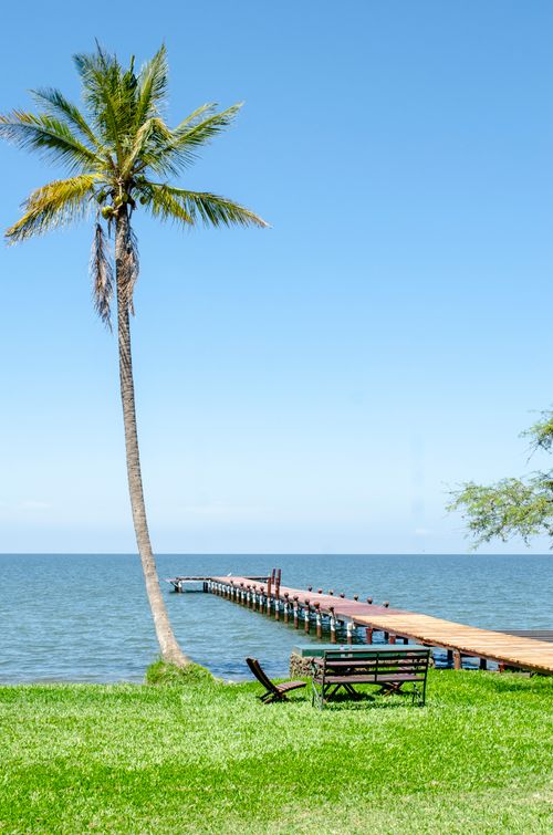 Free A tranquil ocean scene with a wooden pier, palm tree, and vibrant green lawn under a clear blue sky. Stock Photo