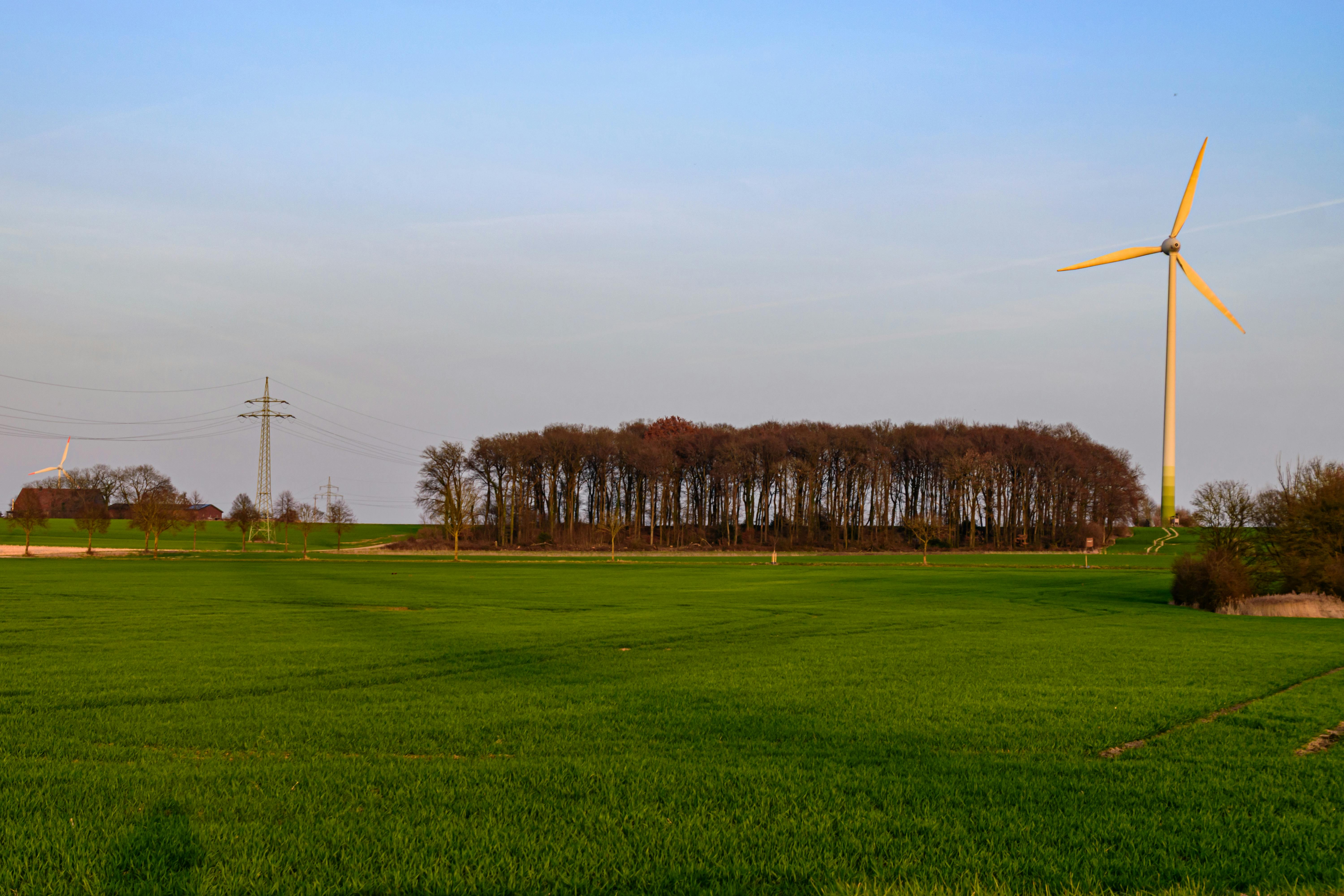 City of Johannesburg pulls the plug on government debt