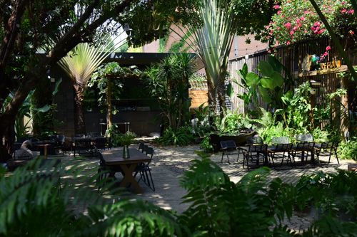 Free A tranquil outdoor café surrounded by lush tropical plants and trees, offering a serene atmosphere. Stock Photo