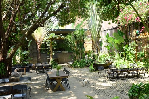 A serene outdoor cafe surrounded by lush greenery and modern seating, perfect for relaxation.