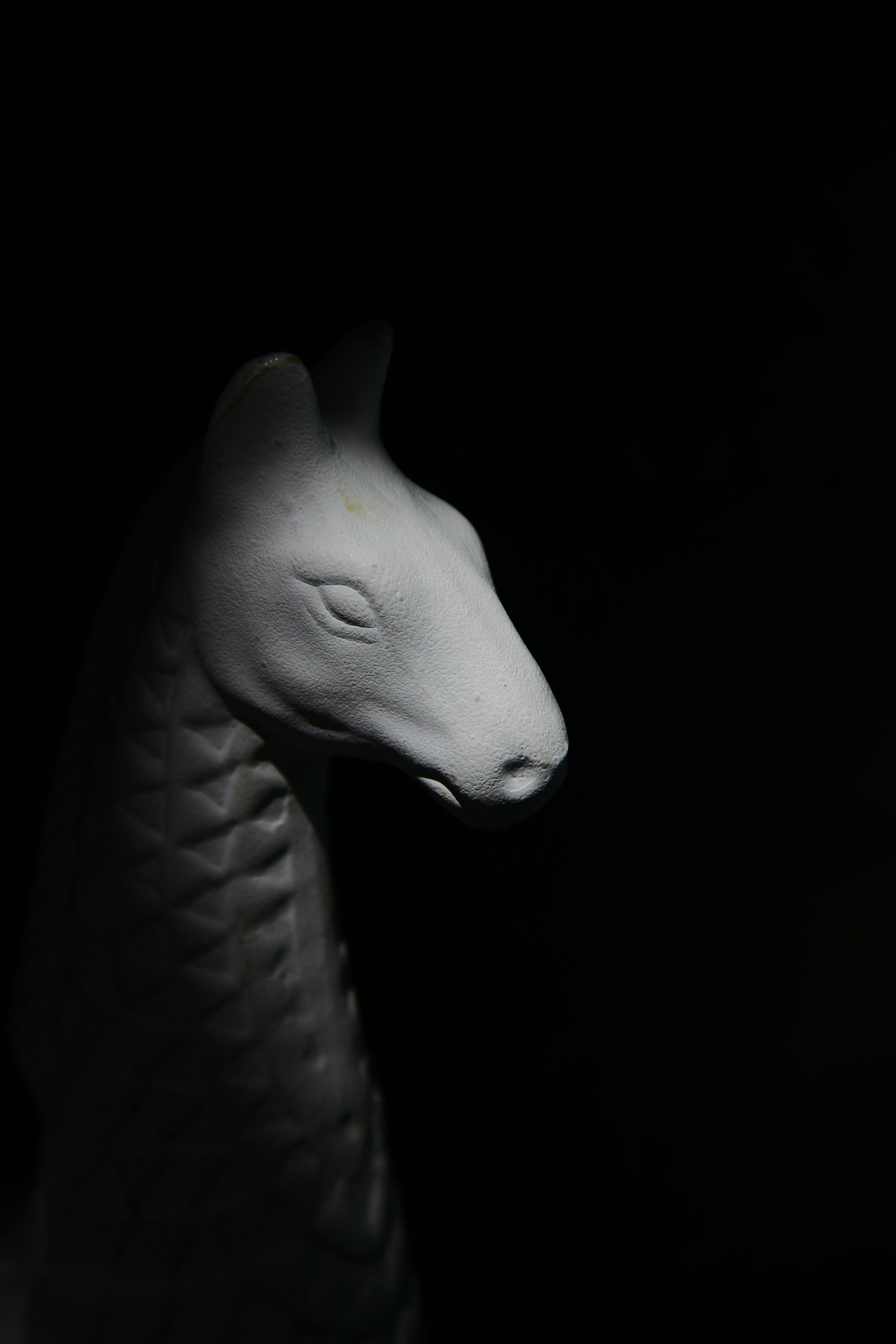 Zadarmo Fotobanka s bezplatnými fotkami na tému abstraktný, biela, čierne pozadie Fotka z fotobanky