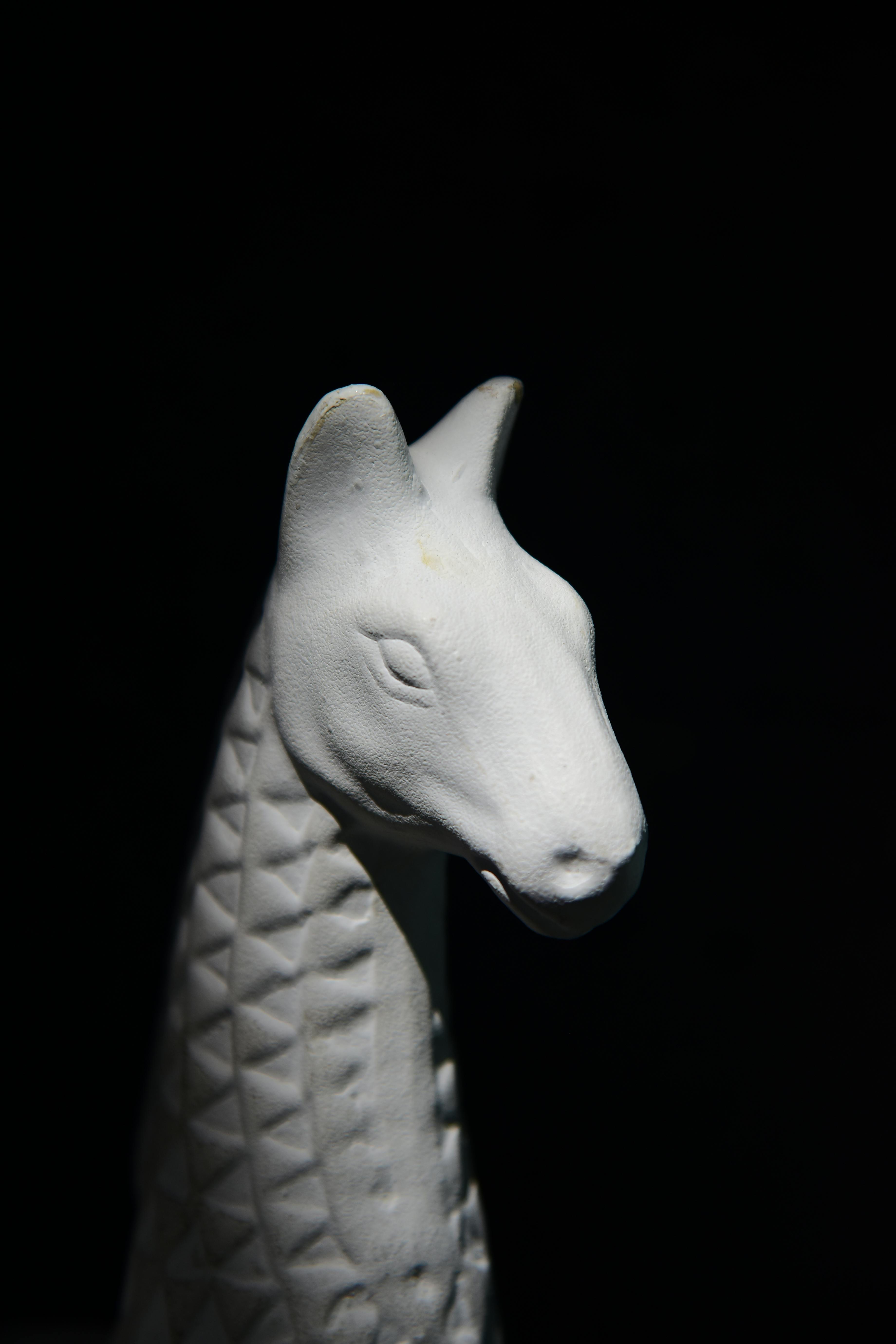 Безкоштовне Скульптура білого жирафа з геометричною текстурою на темному тлі. стокове фото