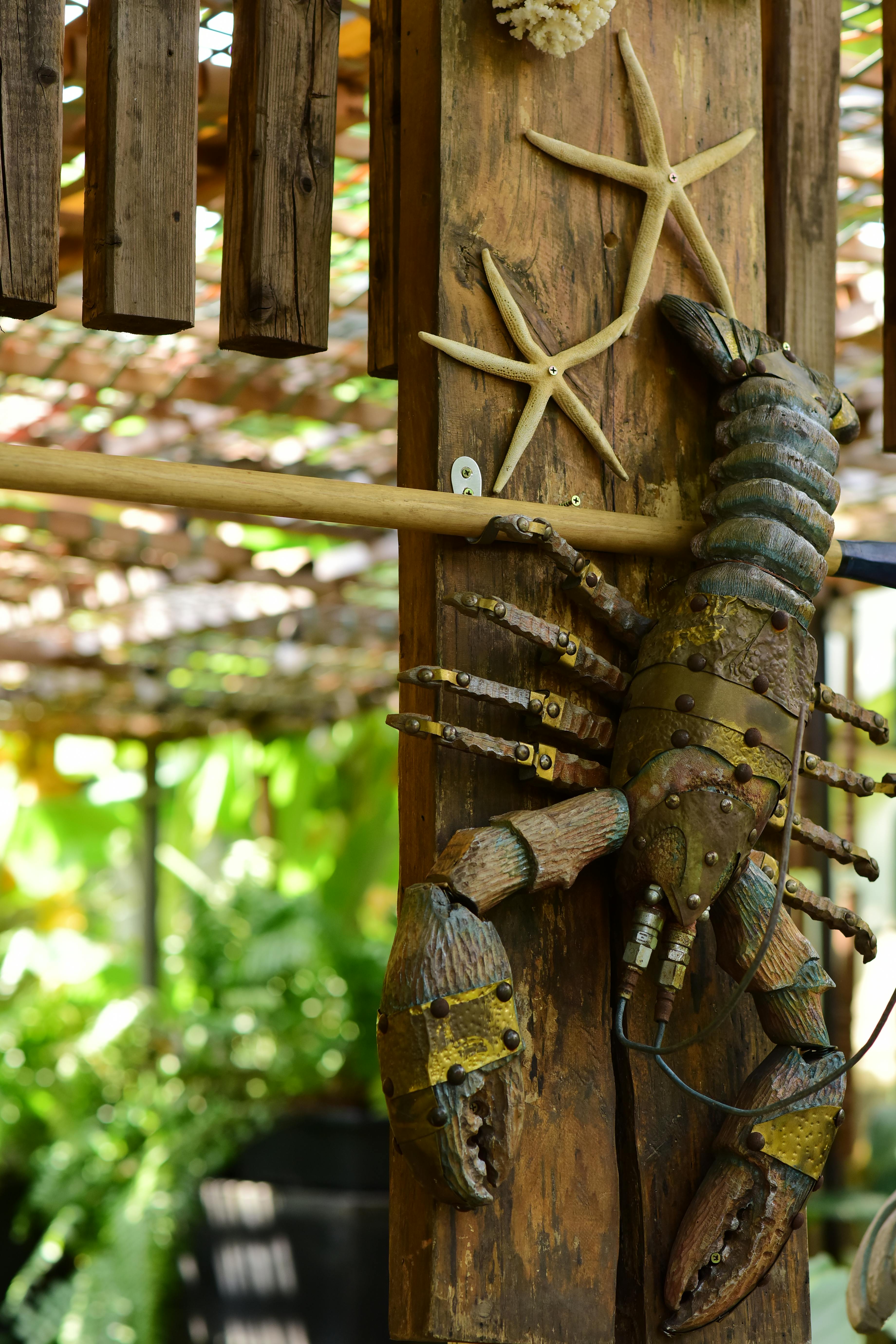 免費 在陽光明媚的戶外環境中，一座飾有海星的木製龍蝦雕塑映入眼簾。 圖庫相片