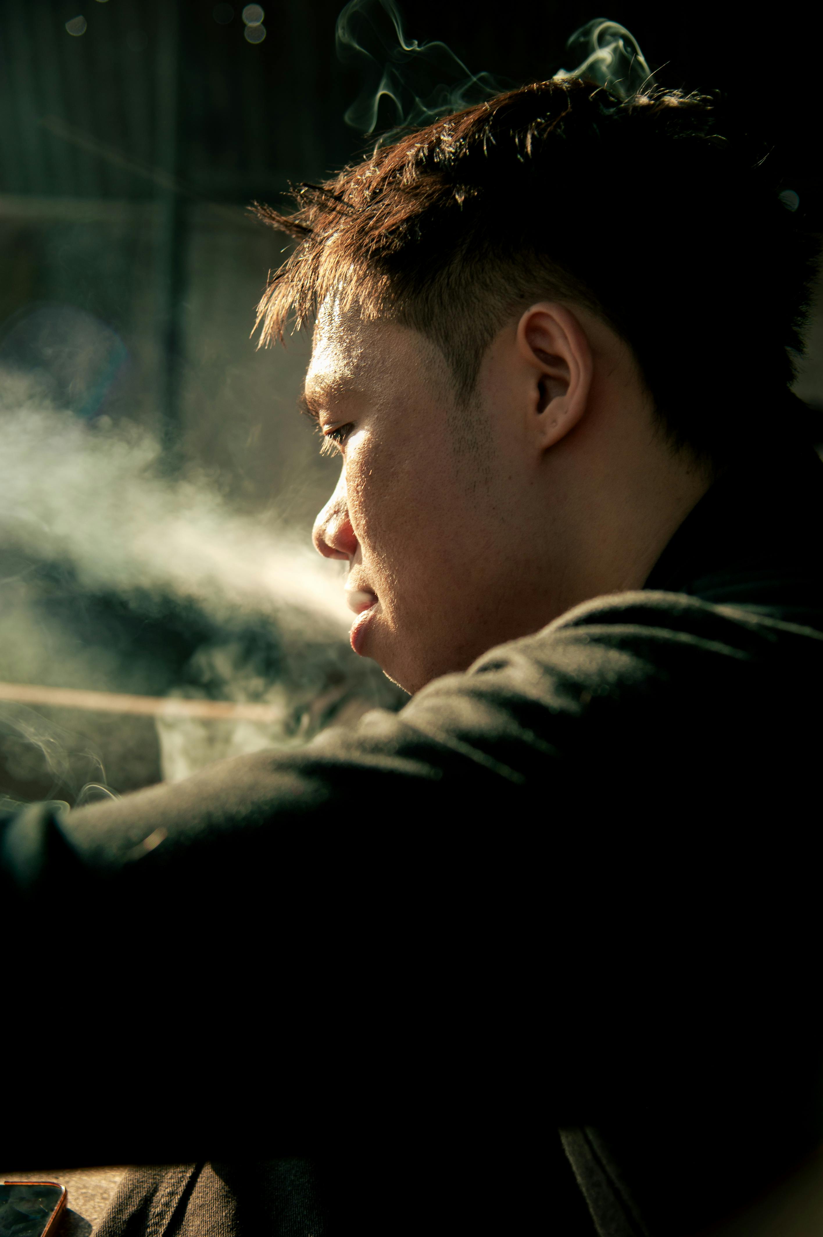 ฟรี คลังภาพถ่ายฟรี ของ # ในร่ม, การตั้งค่าที่ใกล้ชิด, การผ่อนคลาย คลังภาพถ่าย