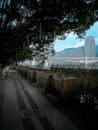 Tranquil Riverside Walkway in Urban Cityscape
