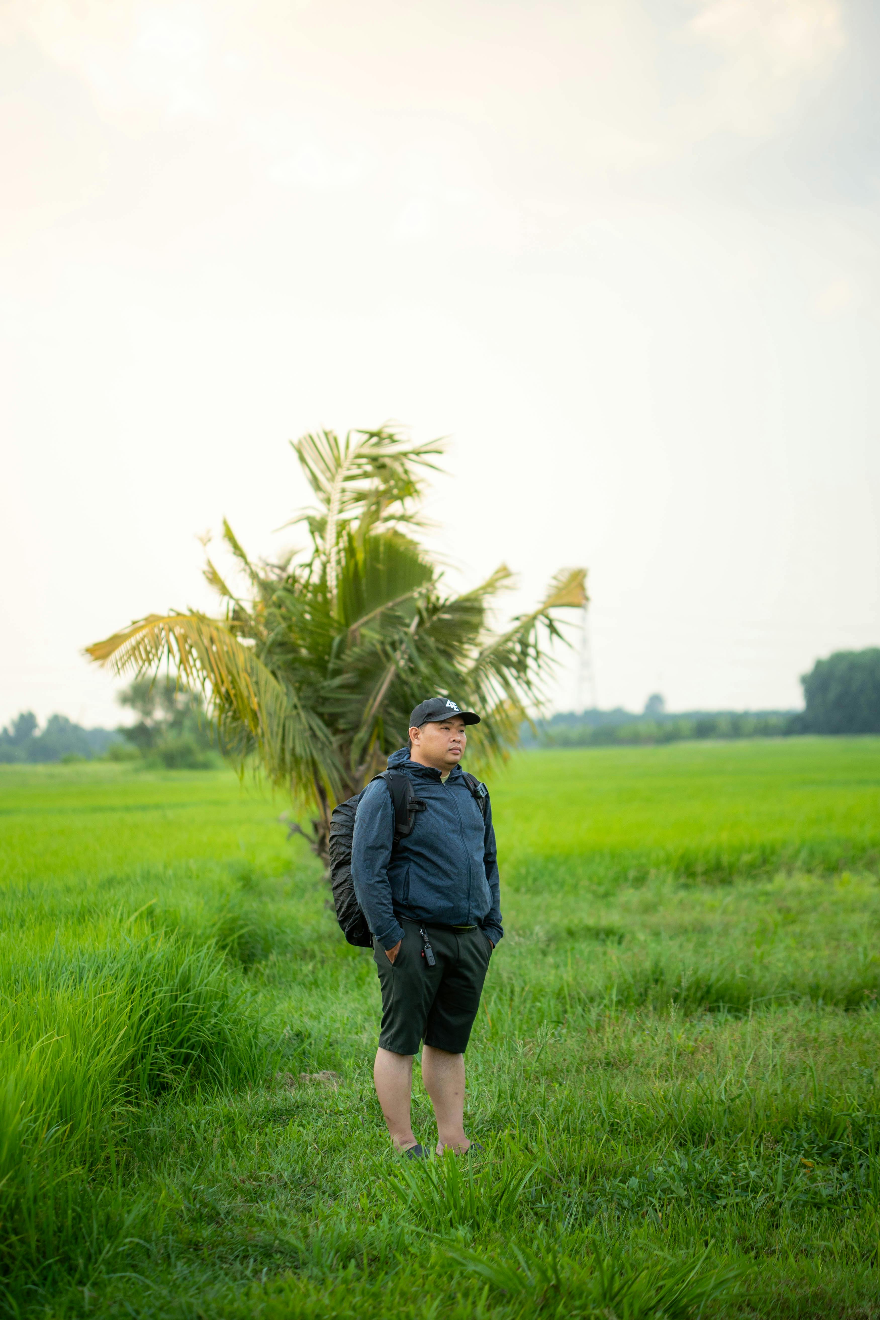 무료 한 성인 남성이 야자수가 있는 푸른 들판에 서서 자연을 만끽하고 있다. 스톡 사진