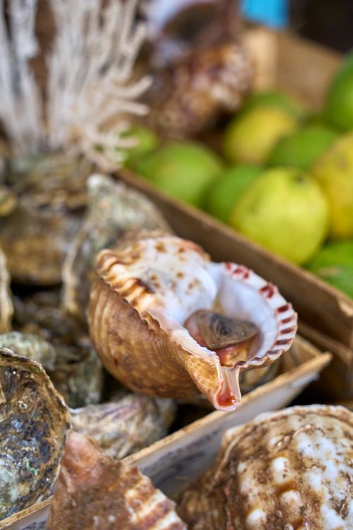 Free Vibrant display of sea shells and limes at a local market in Essaouira, Morocco. Stock Photo