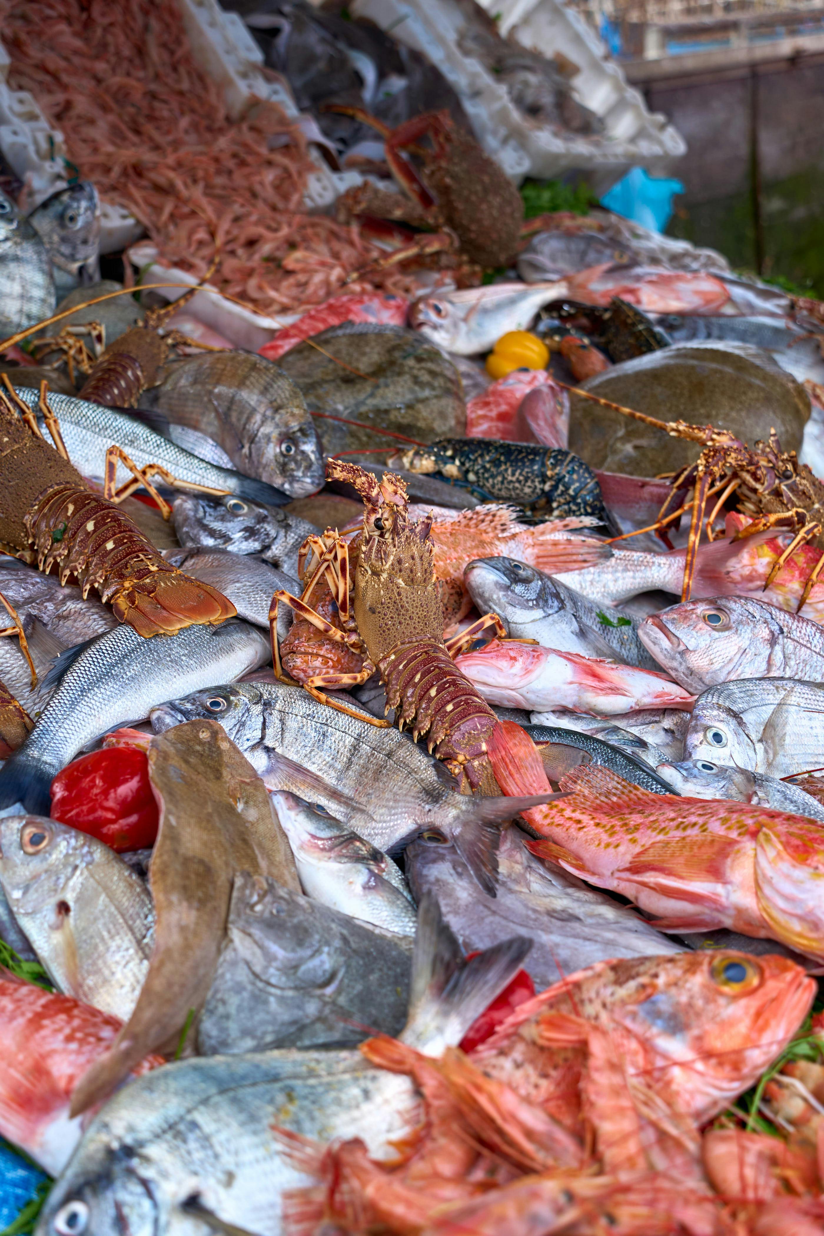 Kostenlos Auf dem Markt von Essaouira erwartet Sie eine bunte Auswahl an frischen Meeresfrüchten, darunter Fisch, Garnelen und Hummer. Stock-Foto