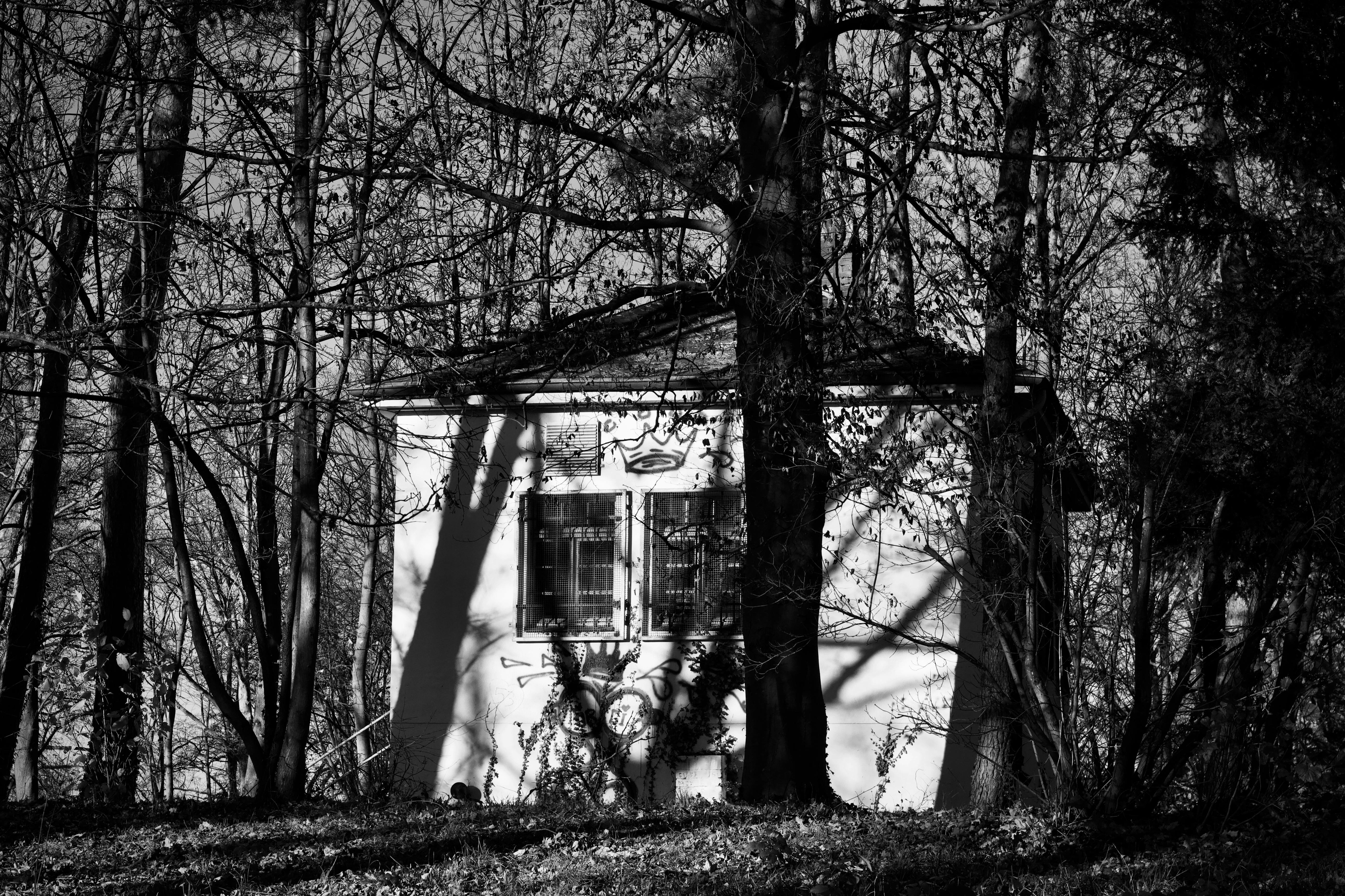 Zadarmo Čiernobiela fotografia opusteného domu obklopeného stromami vrhajúcimi dlhé tiene. Fotka z fotobanky