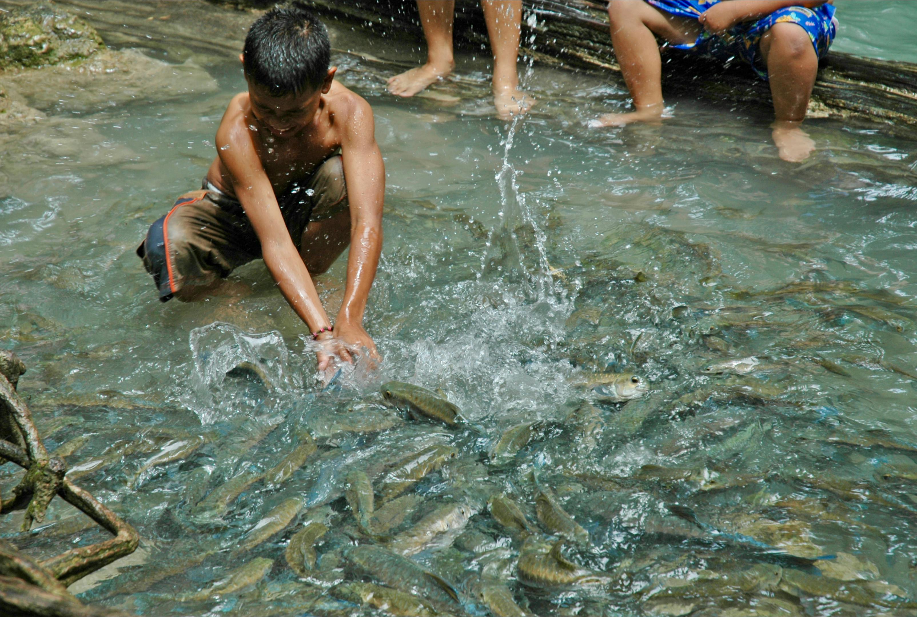 gratis Een kind spettert in een ongerepte, natuurlijke vijver vol vissen. Een buitenavontuur. Stockfoto