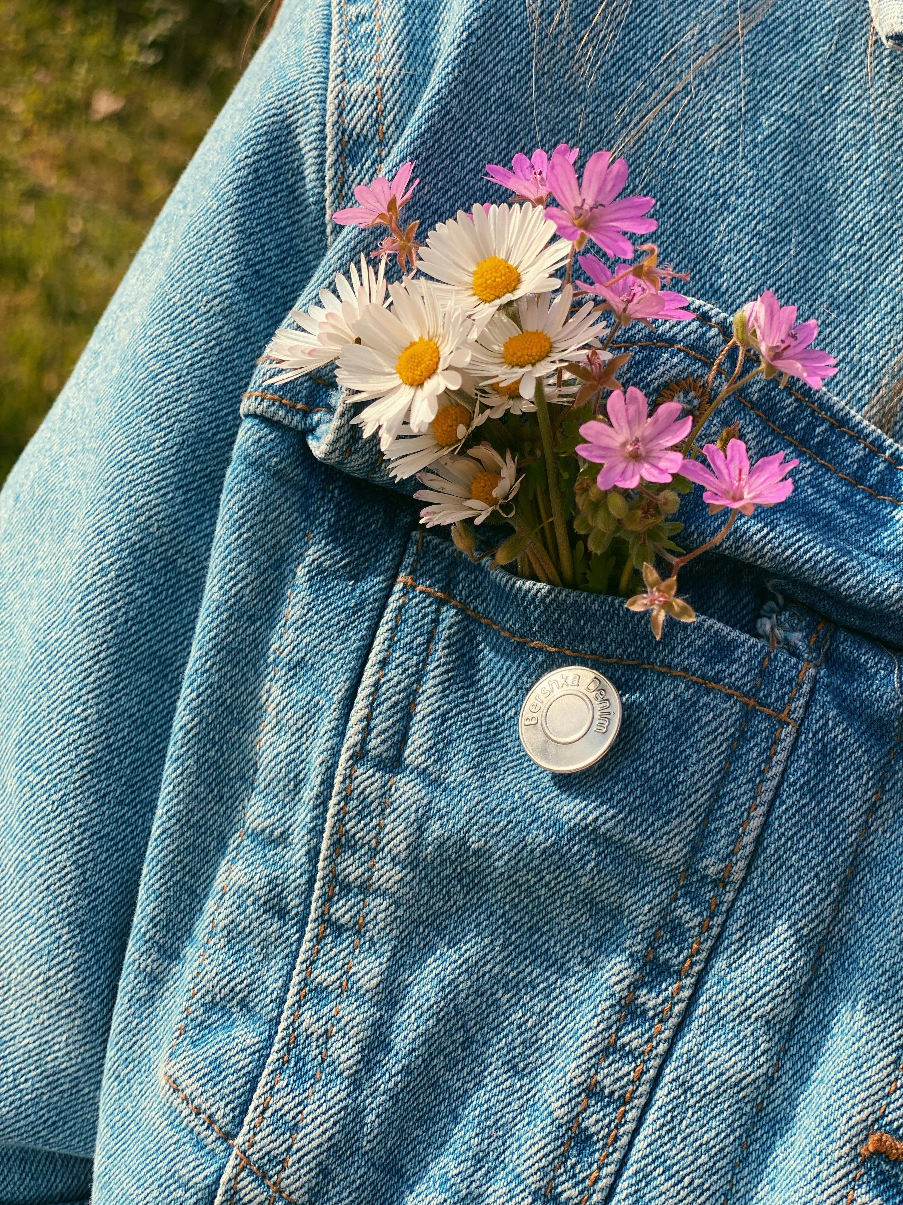 Miễn phí Những bông hoa dại đầy màu sắc ló ra từ túi áo khoác denim vào một ngày nắng đẹp. Ảnh lưu trữ