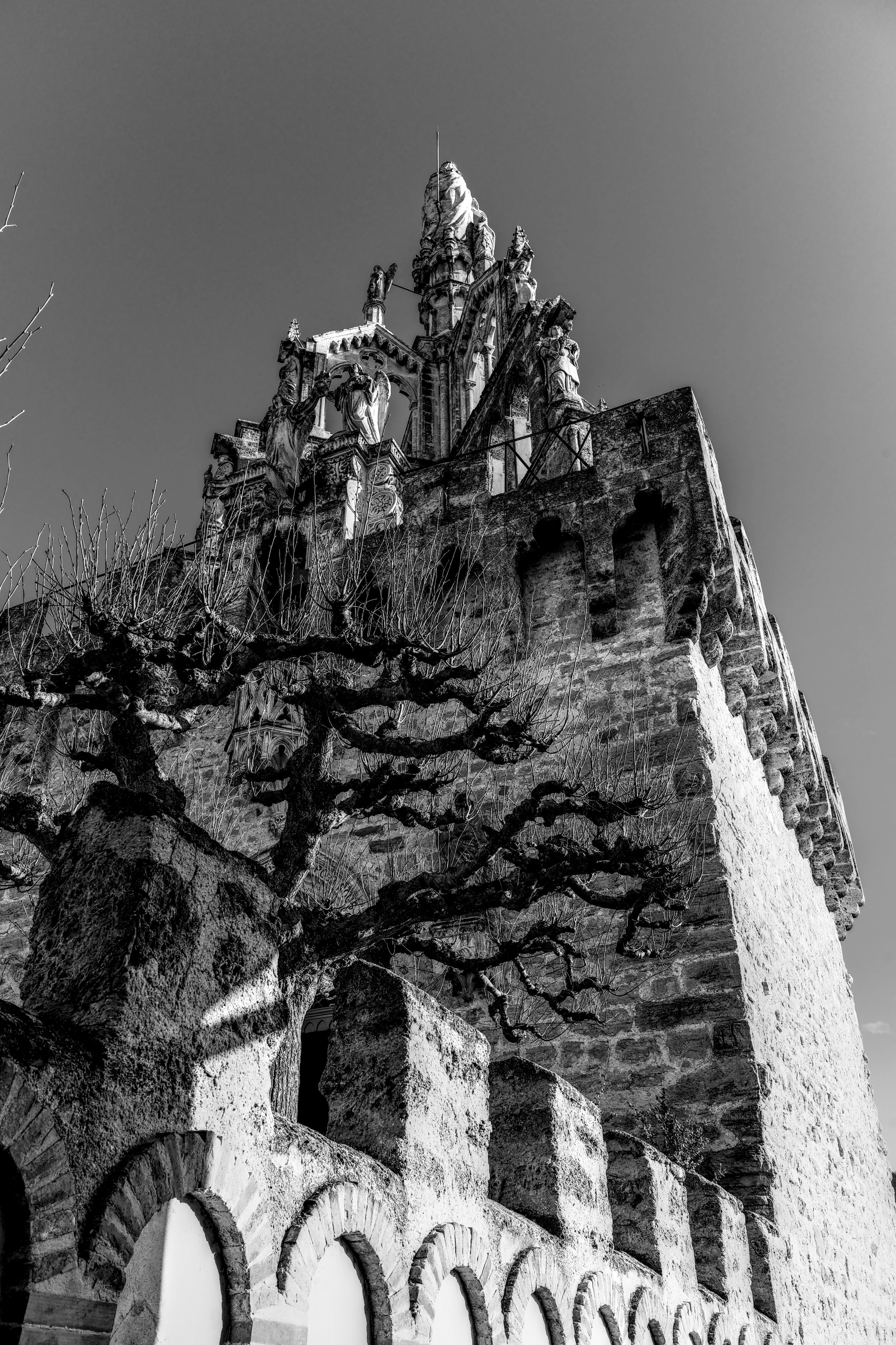 免費 一張令人驚豔的黑白照片，捕捉了哥德式建築和一棵光禿禿的樹。 圖庫相片