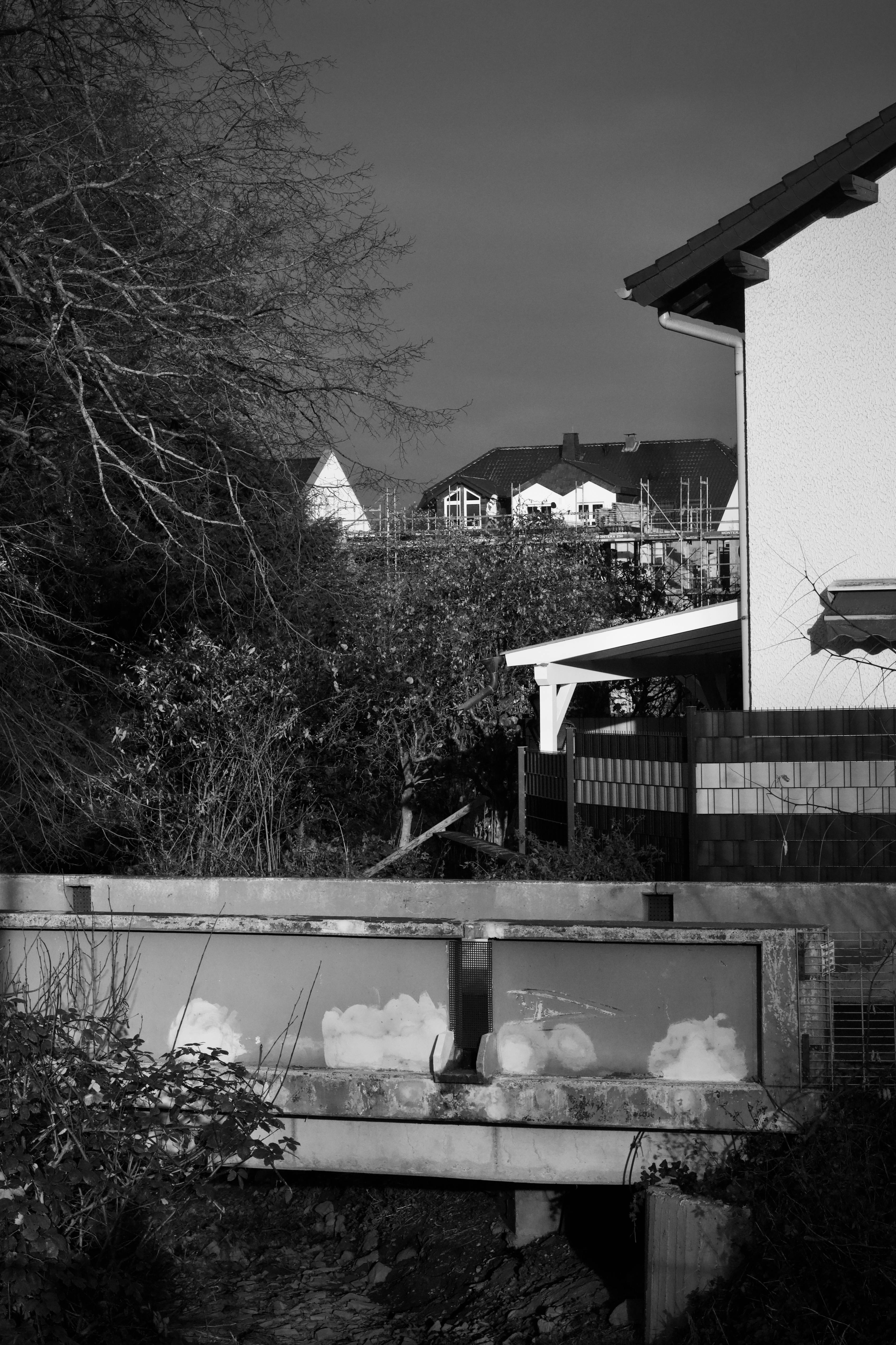 Zadarmo Monochromatický obraz predmestských domov a stromov v prostredí stavby. Fotka z fotobanky