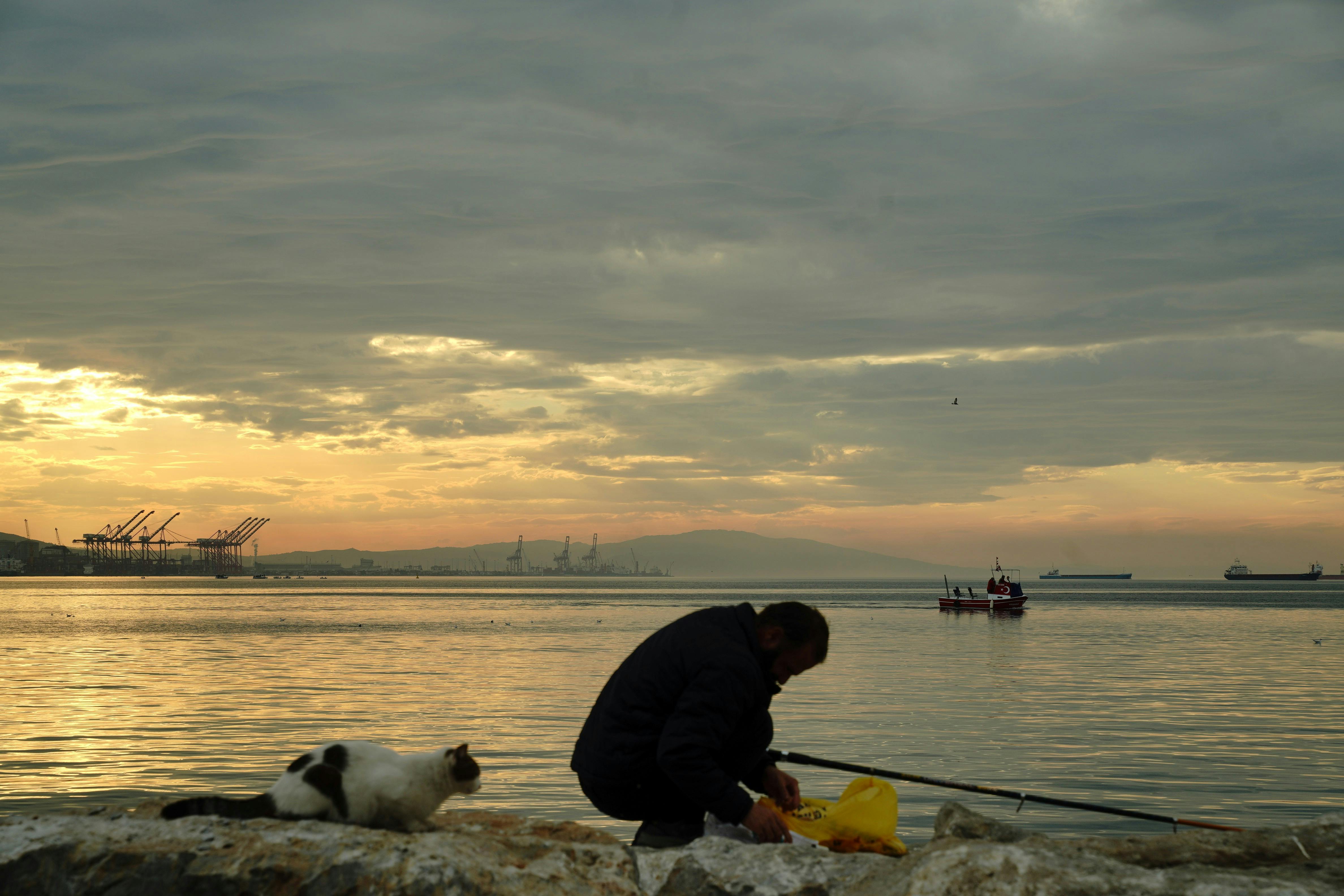 Free A peaceful sunset by the harbor with a fisherman and a cat enjoying the evening glow. Stock Photo