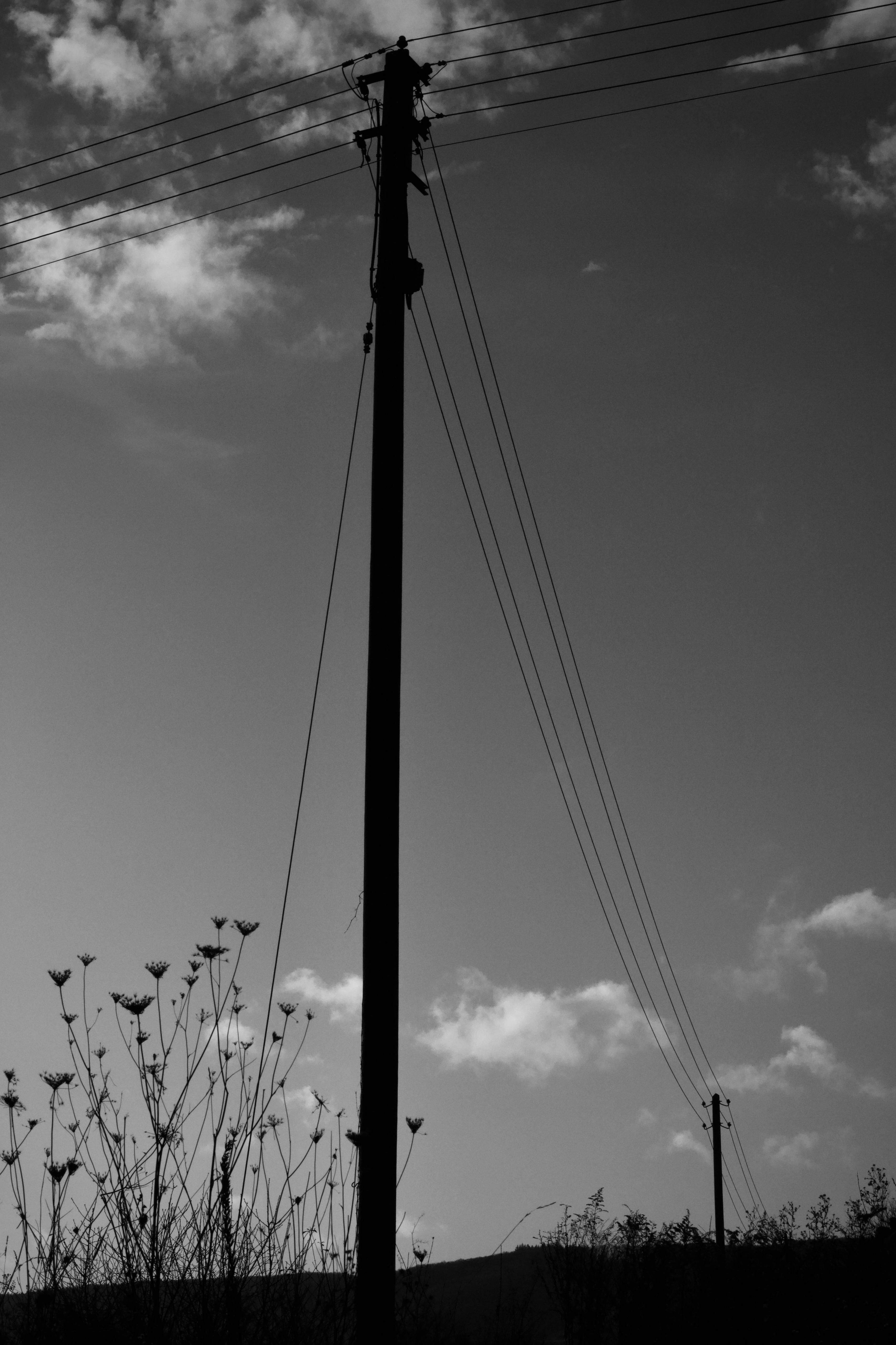 ingyenes Fekete-fehér sziluettje elektromos vezetékeknek felhős égbolton szürkületkor. Stockfotó