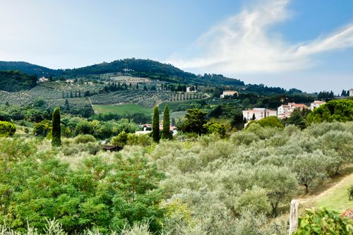 Free Beautiful landscape of Tuscany with rolling hills, olive groves, and cypress trees. Stock Photo