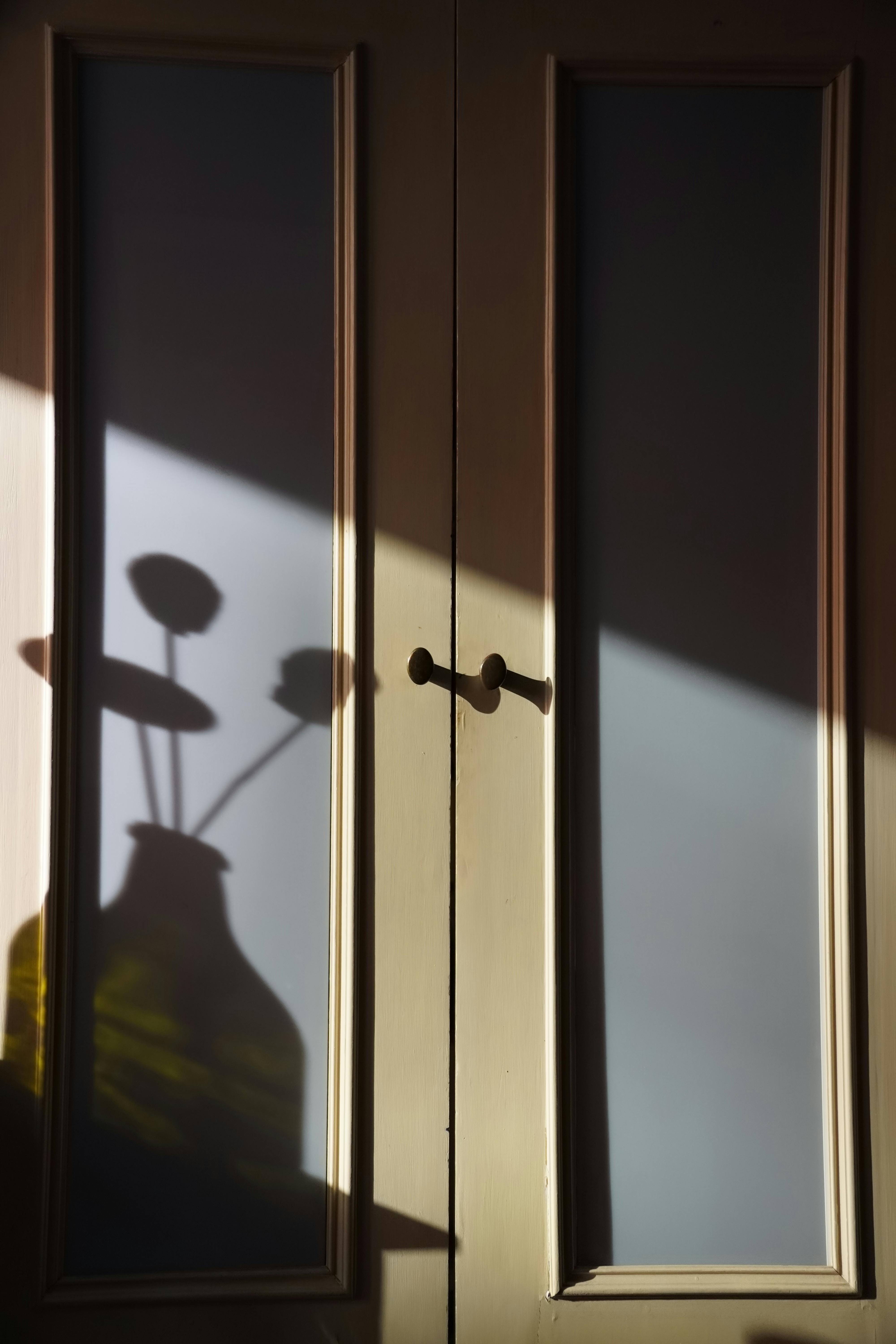 Zadarmo Elegantný tieň vázy s kvetmi vrhnutý na panel dverí, zachytený za denného svetla. Fotka z fotobanky