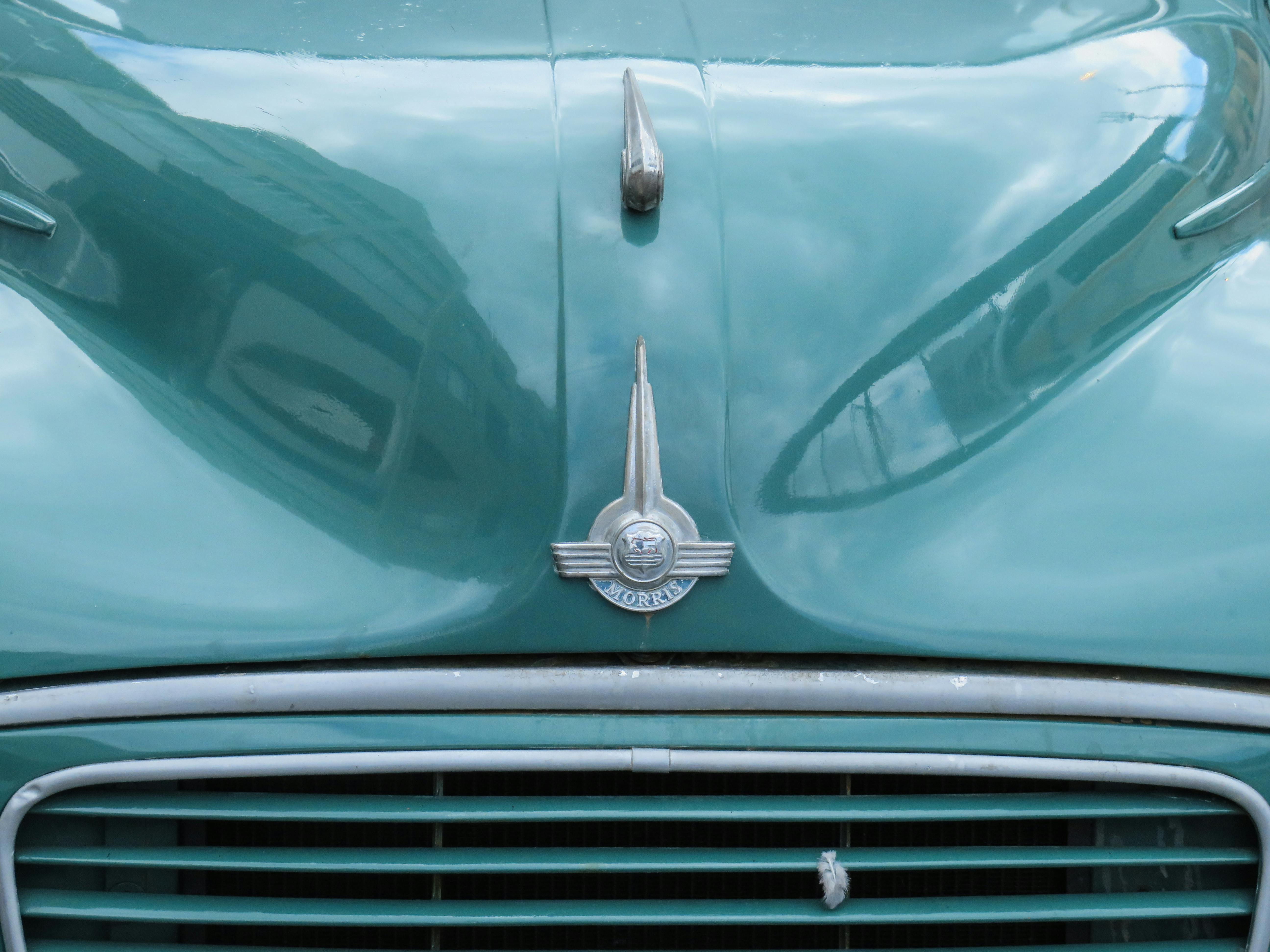 Pedal to the Metal: General Motors Orders Suppliers to Exit China Supply Chains — Photo by Wayne Bisset on Pexels