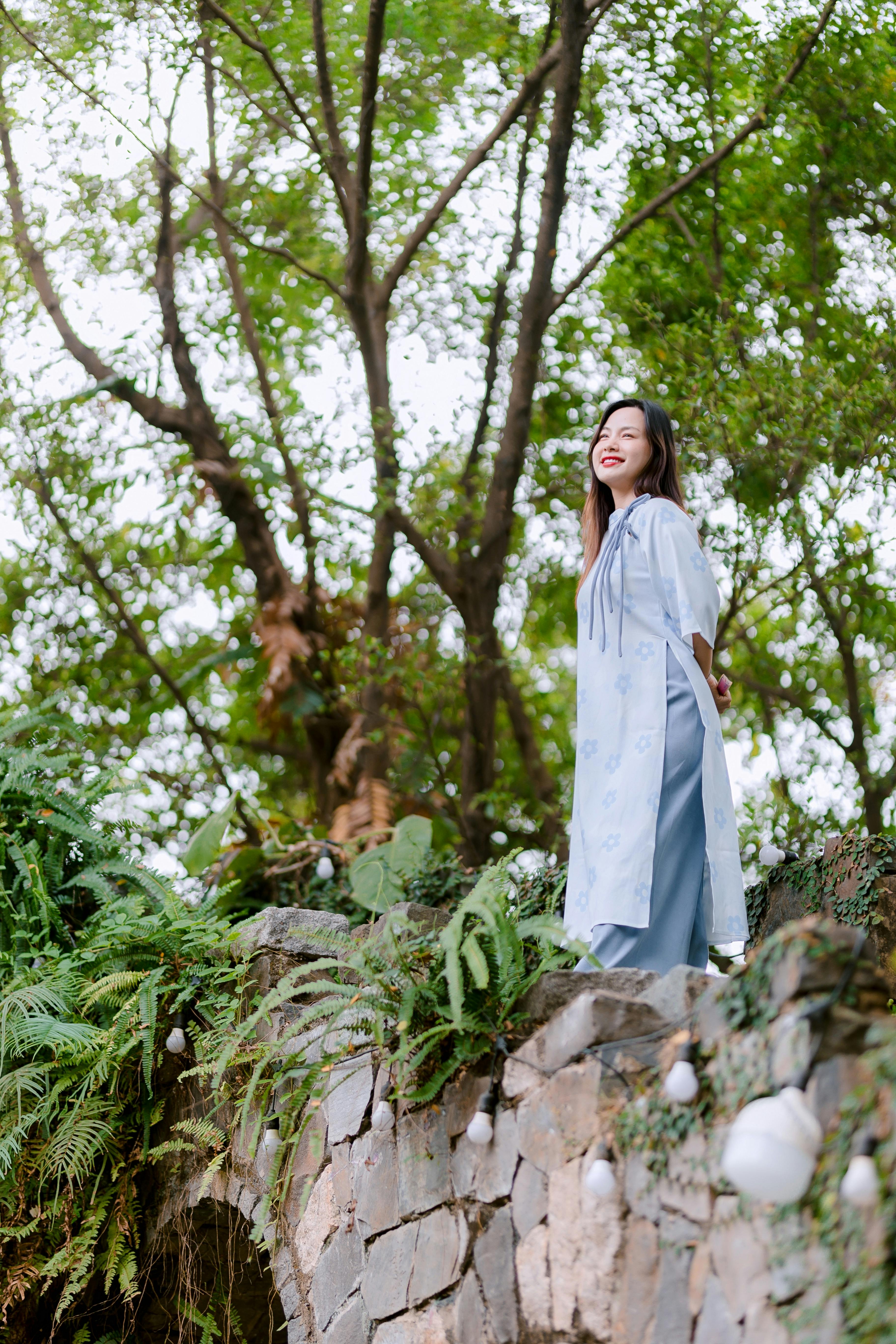 Miễn phí Ảnh lưu trữ miễn phí về ánh sáng ban ngày, bình yên, cây Ảnh lưu trữ