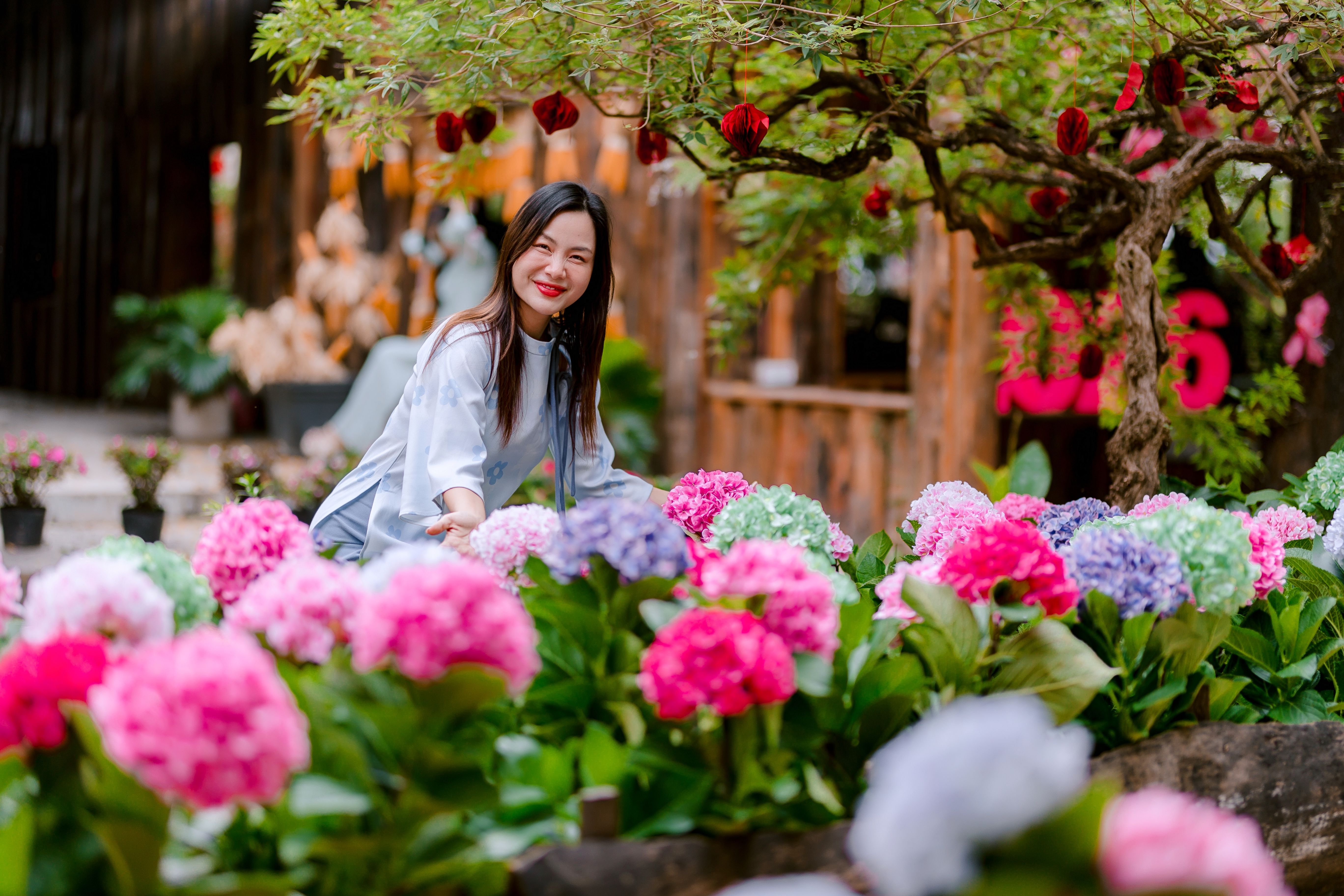 Smiling Woman Among Colorful Hydrangeas · Free Stock Photo