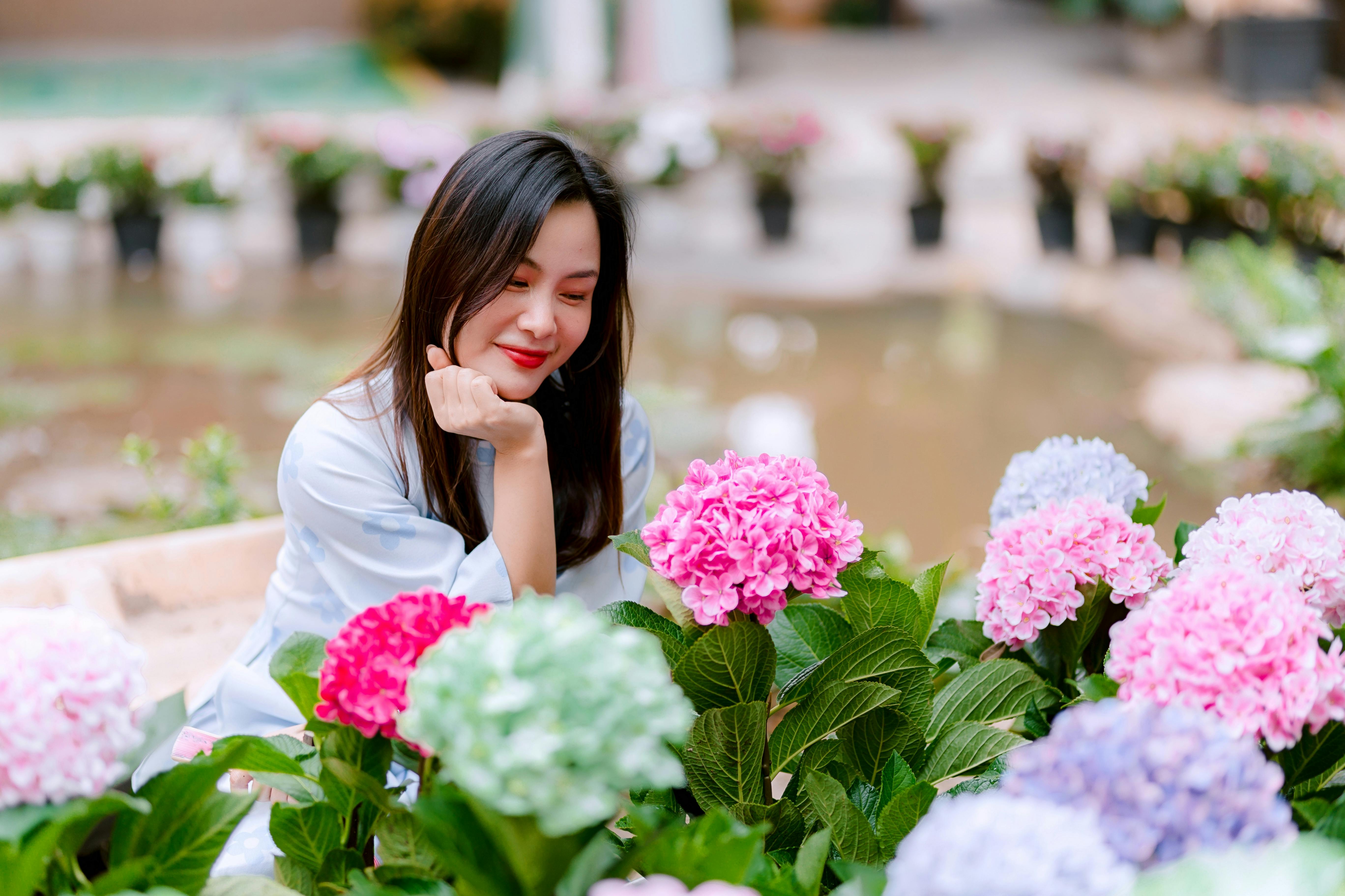 bezplatná Usmívající se žena obklopená barevnými hortenziemi v klidném prostředí zahrady. Základová fotografie