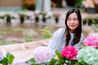 Woman in Garden Surrounded by Vibrant Hydrangeas