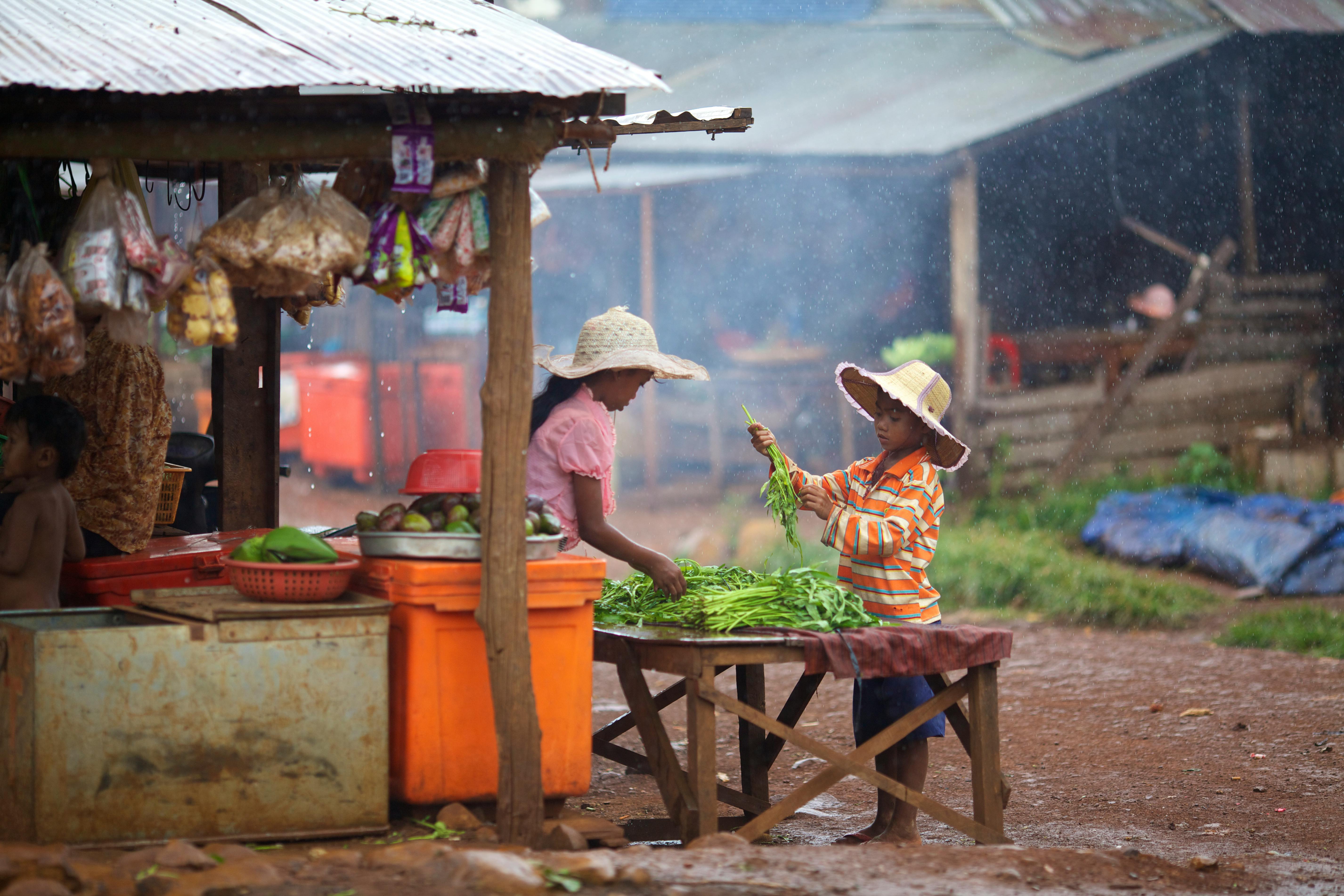 Miễn phí Những đứa trẻ làm việc tại một khu chợ ngoài trời ở Mondulkiri, Campuchia, thể hiện văn hóa và lối sống địa phương. Ảnh lưu trữ