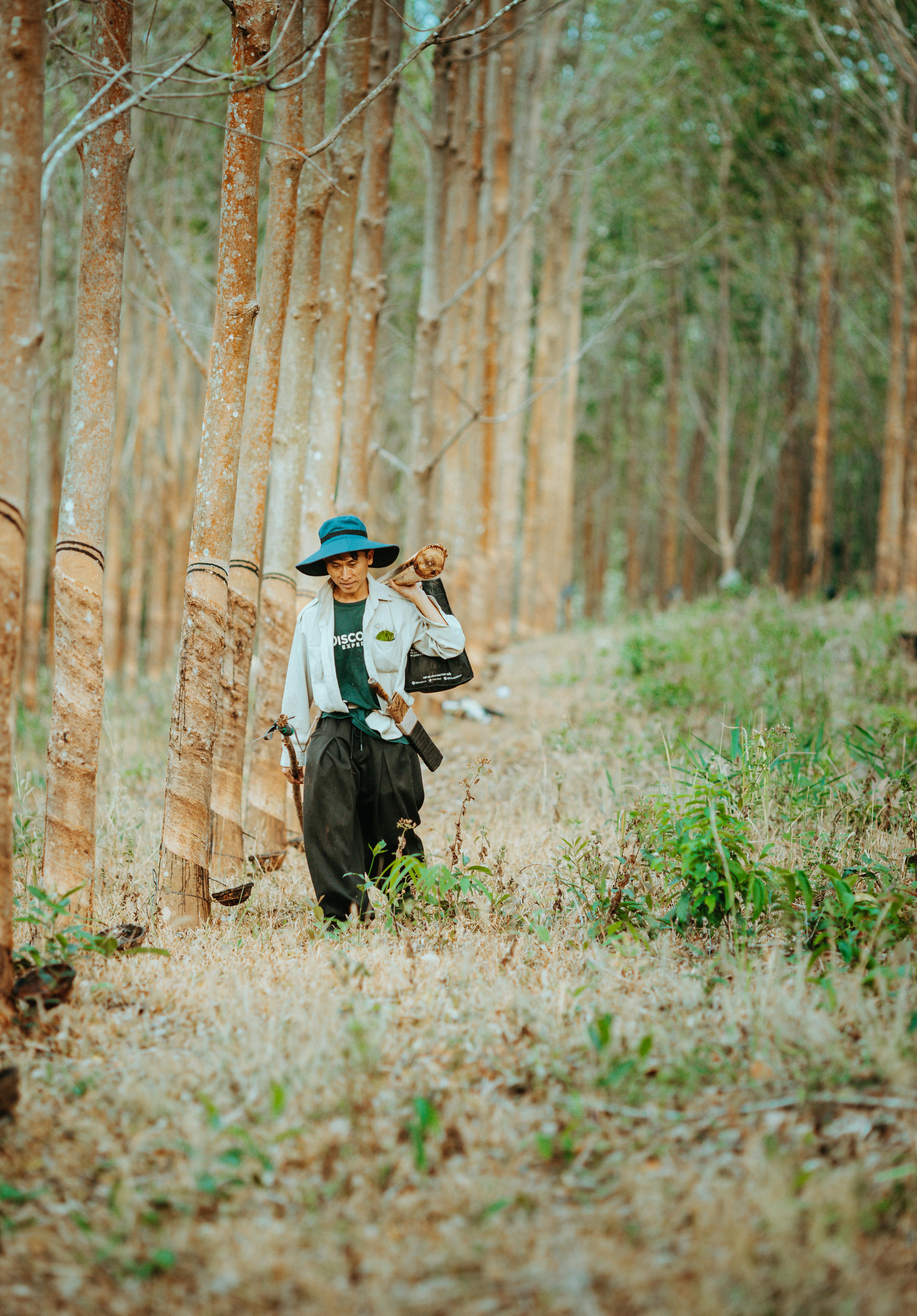 Gratis stockfoto met aziatische boer, Azië, bloemen Stockfoto