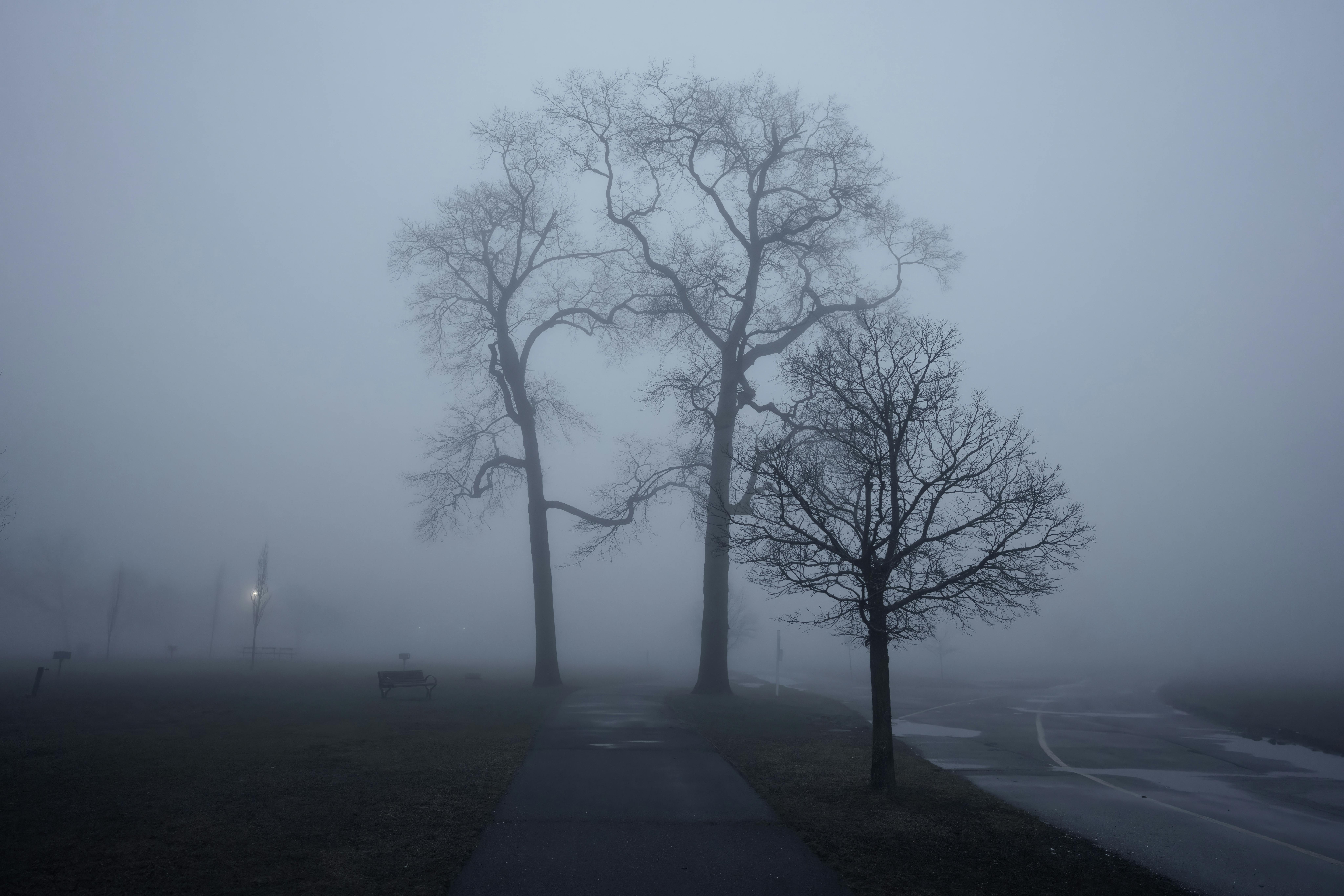 Miễn phí Cảnh cây cối mờ sương vào buổi sáng tại công viên Cove Island, Stamford, Connecticut. Ảnh lưu trữ