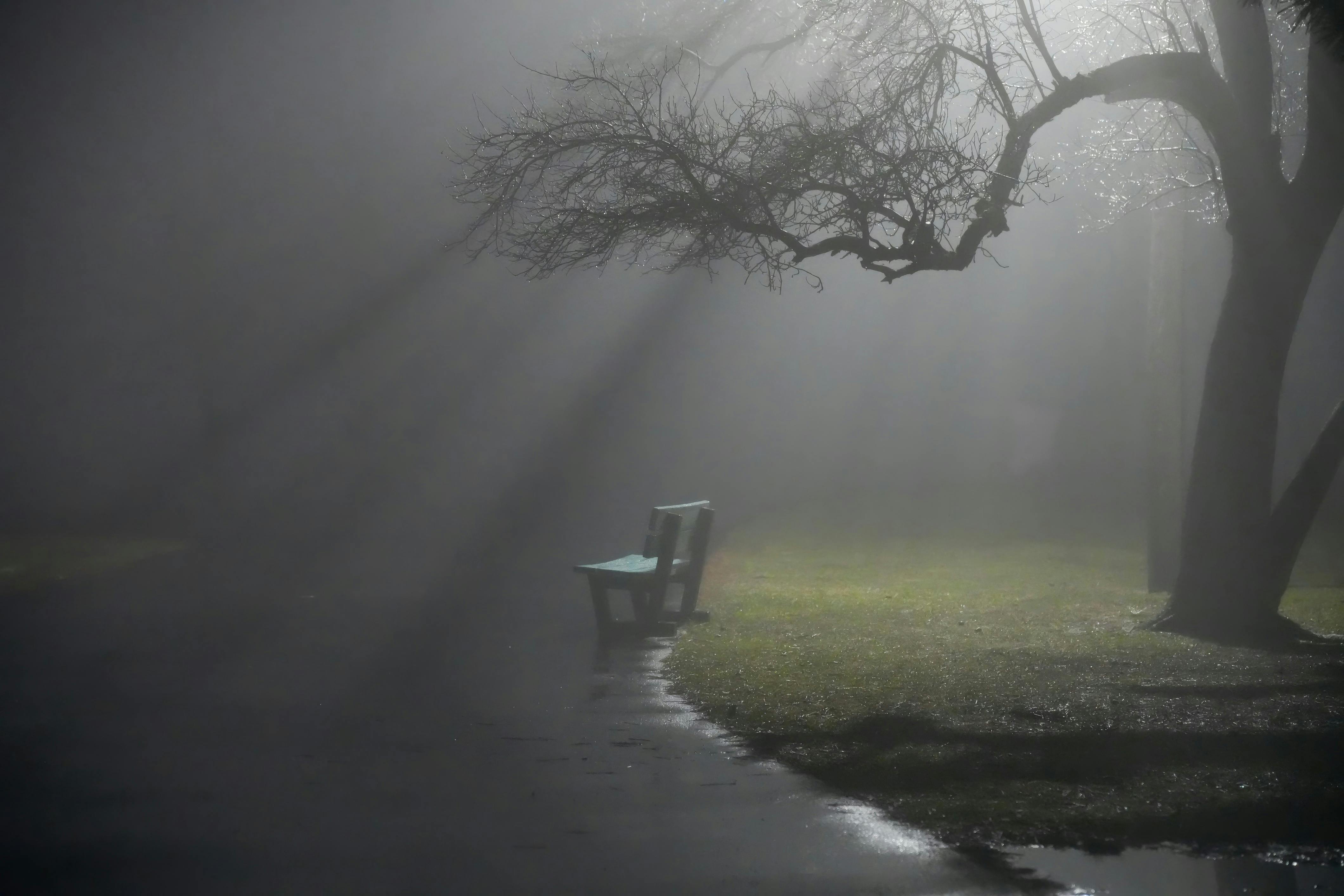 Zadarmo Fotobanka s bezplatnými fotkami na tému chladné tóny, exteriéry, hmla Fotka z fotobanky