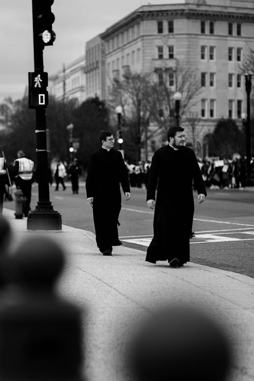 Foto d'estoc gratuïta de caminar, fons de pantalla