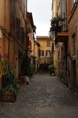 Cobblestone street in a historic district