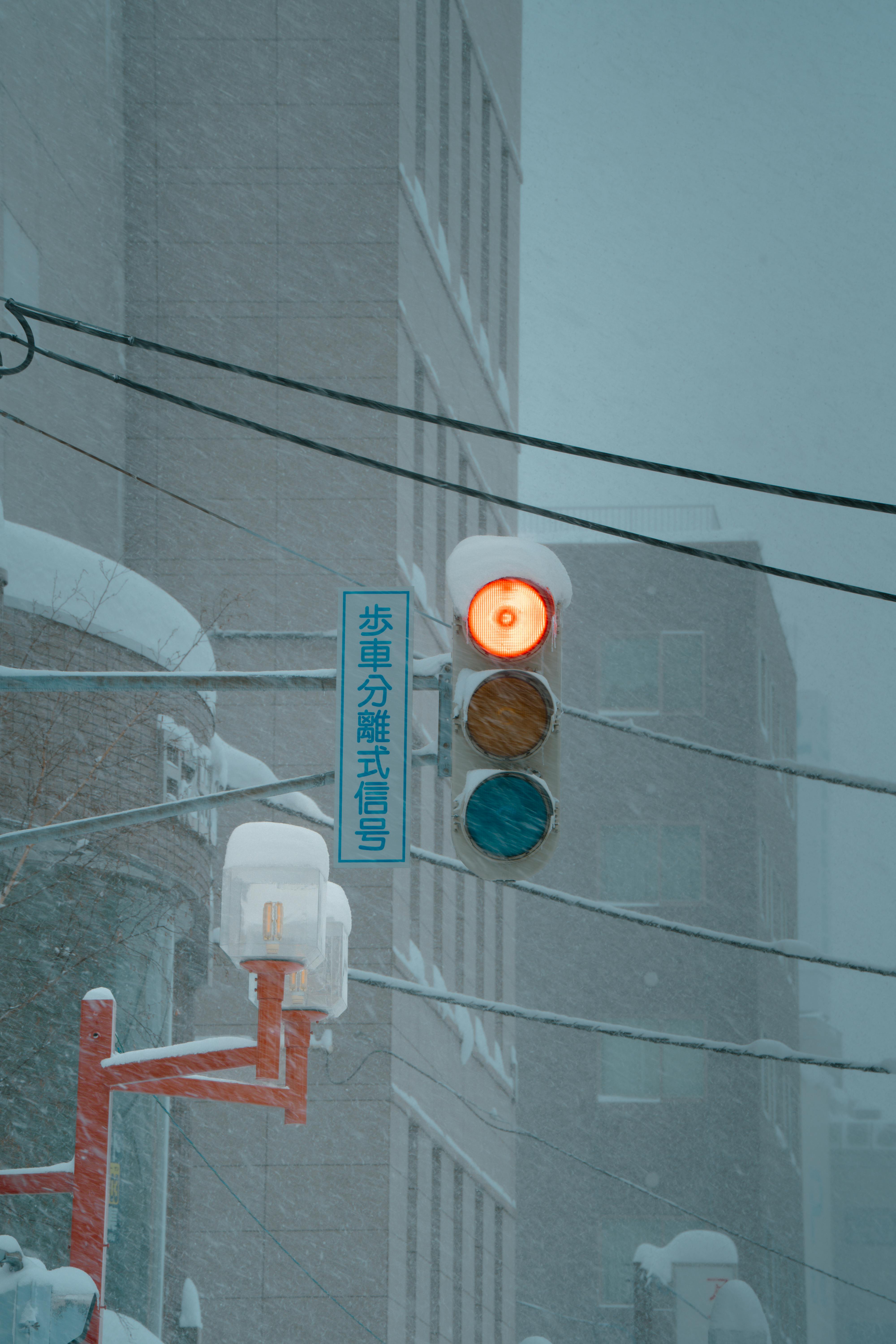 免费 日本札幌冬日里，一盏被积雪覆盖的红色交通信号灯。 素材图片