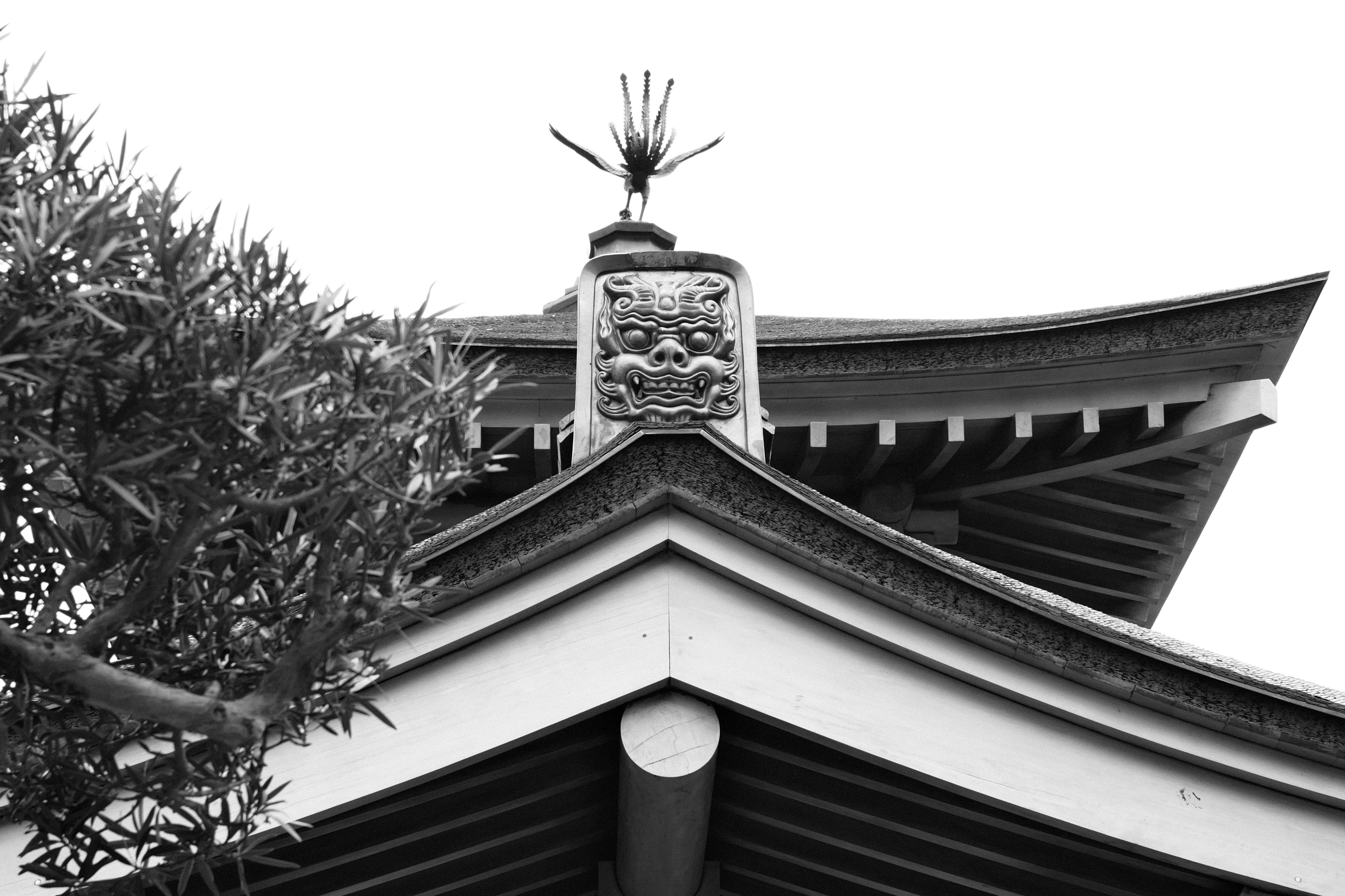 ingyenes Közeli kép egy hagyományos kínai templom tetejéről Hongkongban, amely bonyolult formatervezési elemeket mutat be. Stockfotó